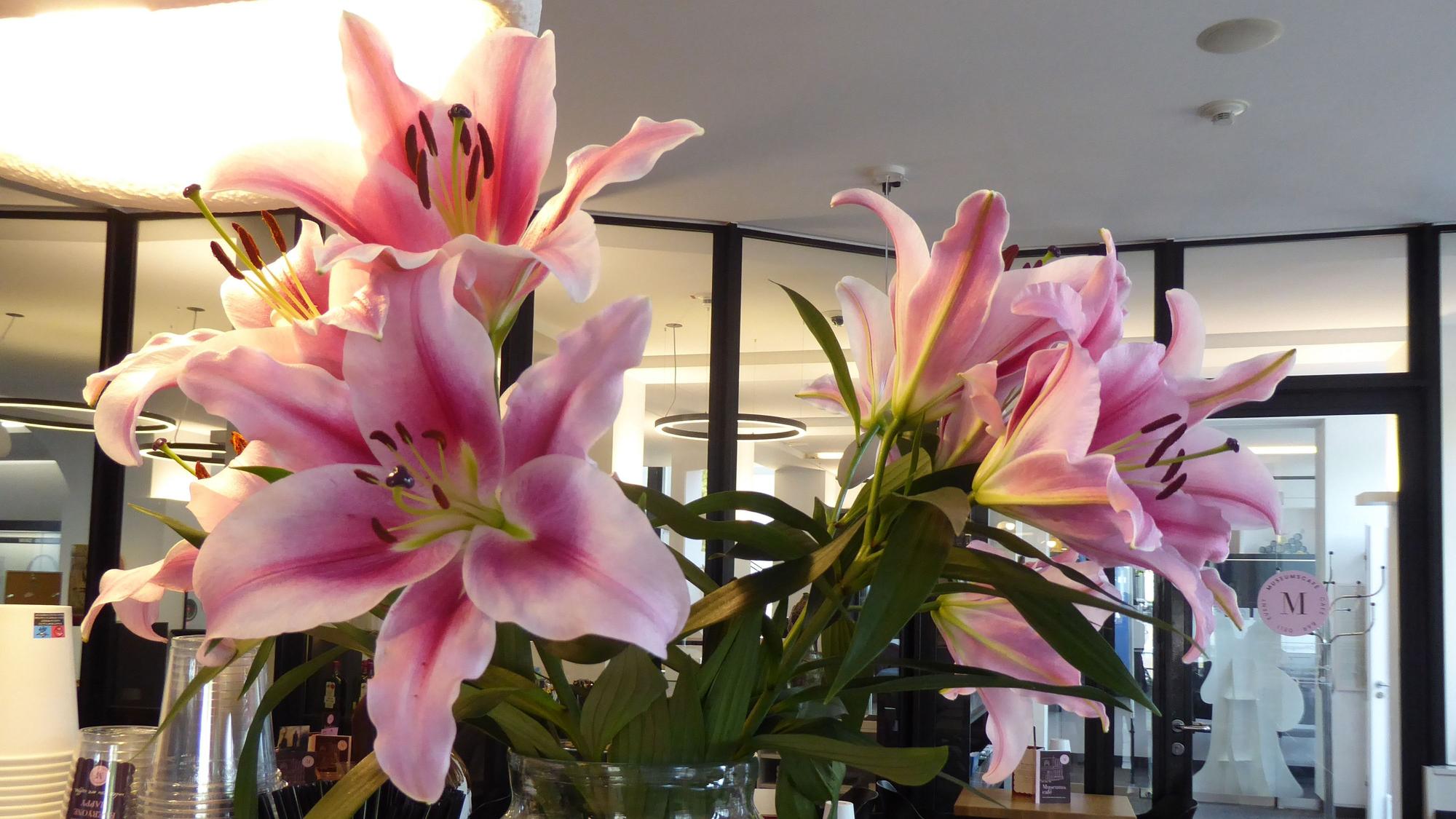 Im Café ist viel in weiß und rosa gestaltet.