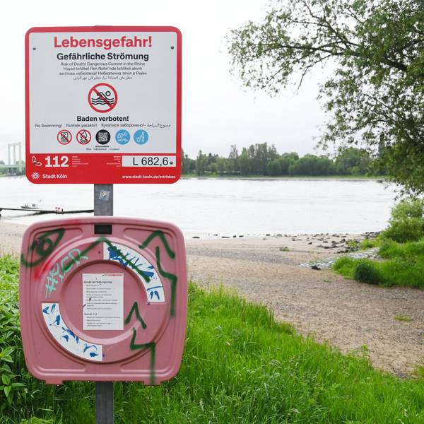 Am Rheinufer stehen neue Schilder, die auf das Badeverbot im Rhein hinweisen.
