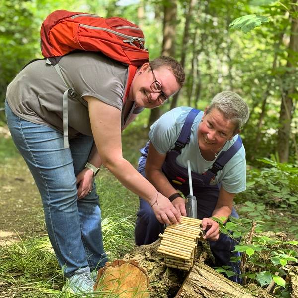 Die Obengenannten kleben ein Häuschen in einem Wald mit einer Klebepistole fest und lächeln in die Kamera.