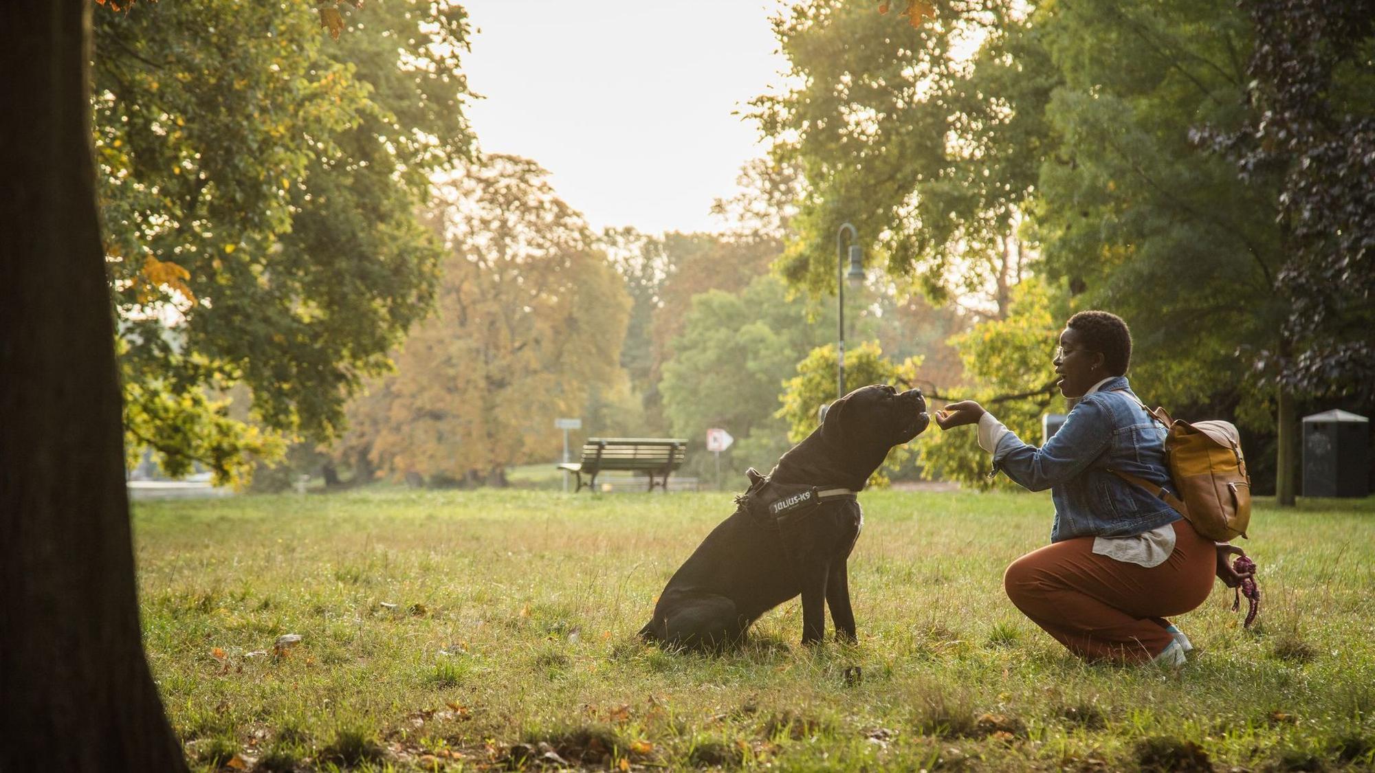 Eine Frau gibt einem Hund Kommandos