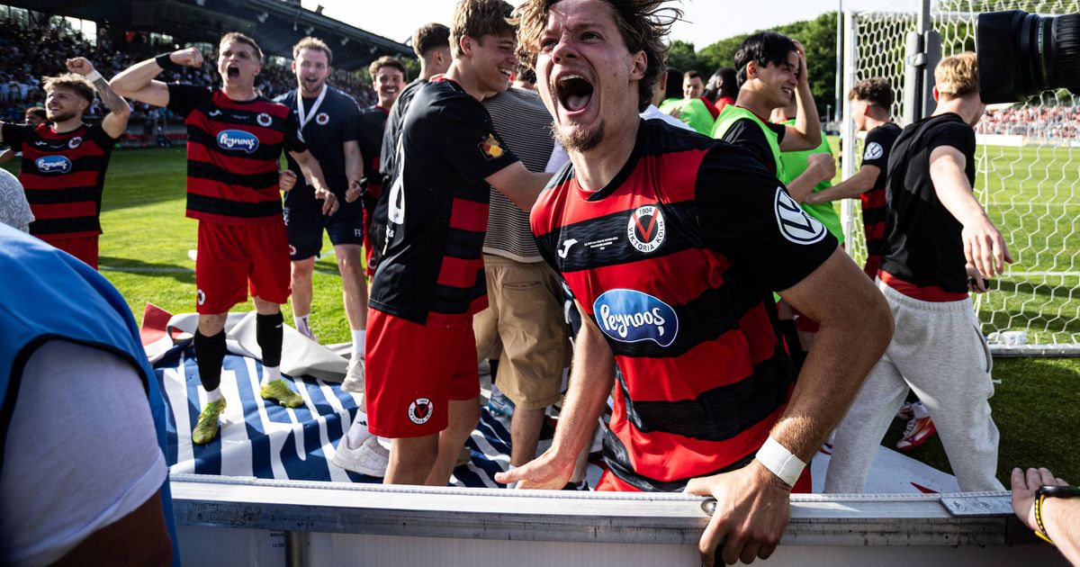 Viktoria Cologne’s Cup Victory: Pain, Jubilation, and the Dream of 1 ...