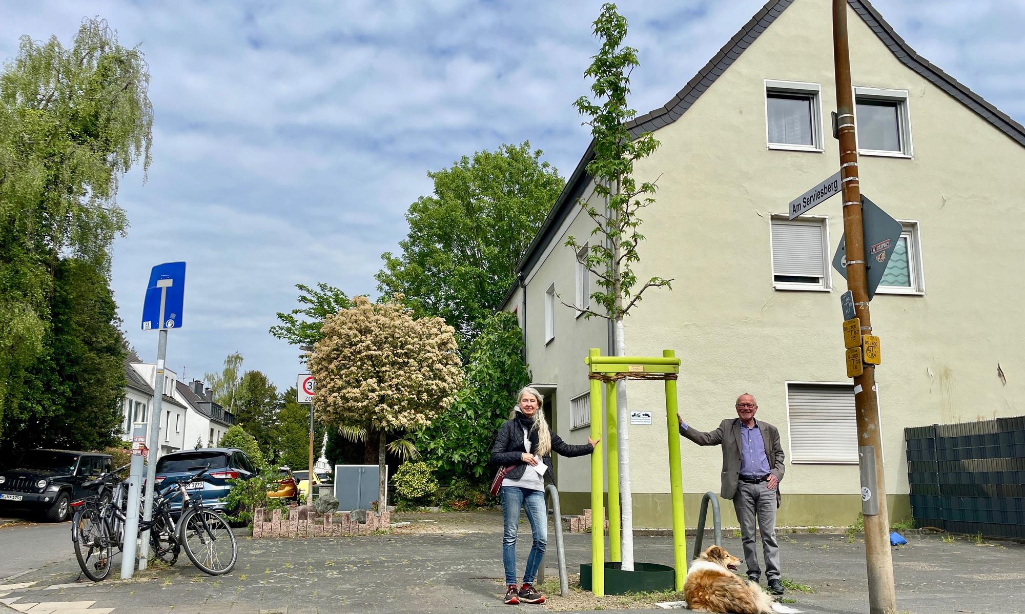 Ein Mann und eine Frau stehen links und rechts von einem jungen Baum.