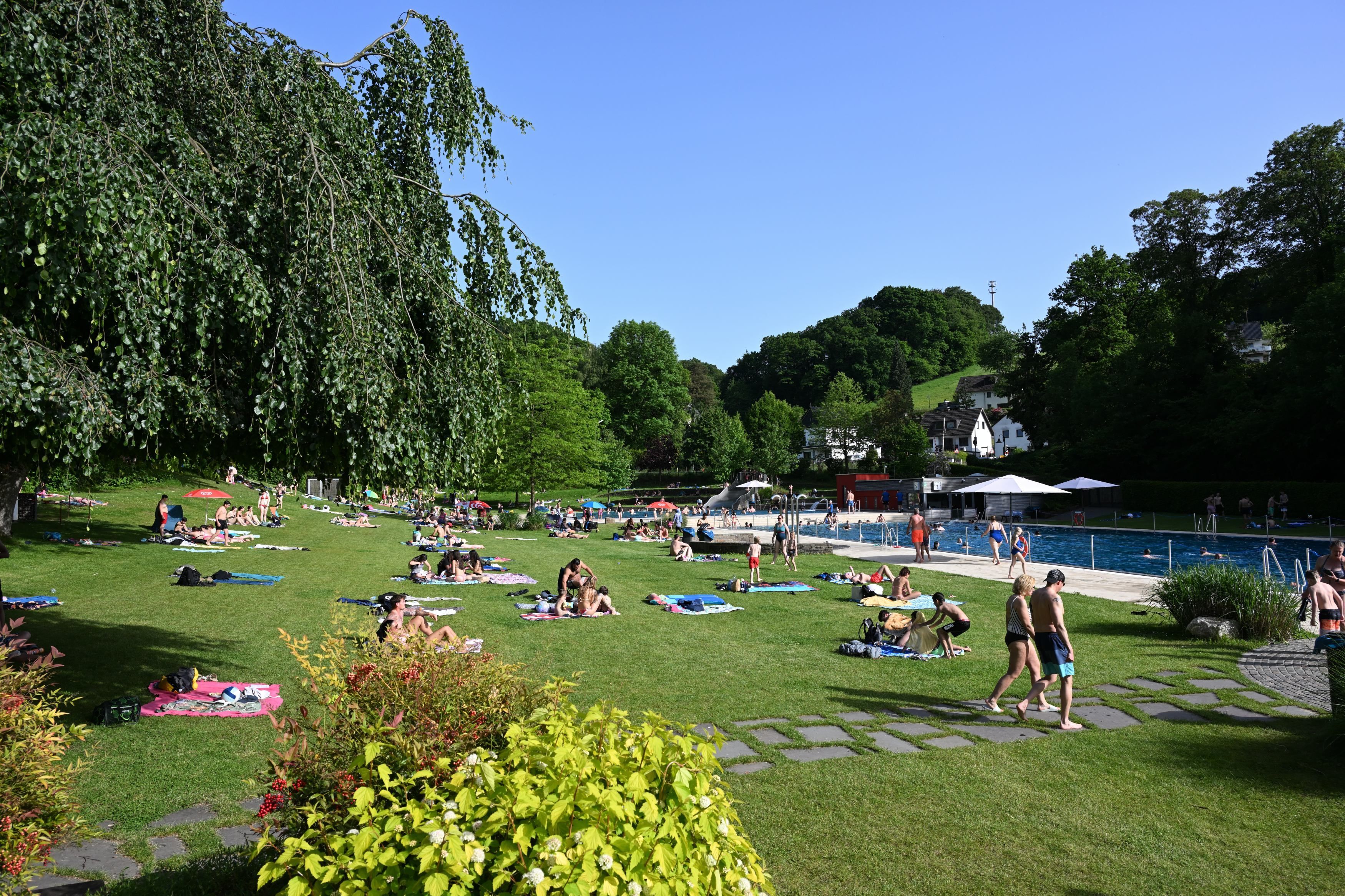 Menschen liegen auf der Wiese in der Sonne vor einem Schwimmbecken.