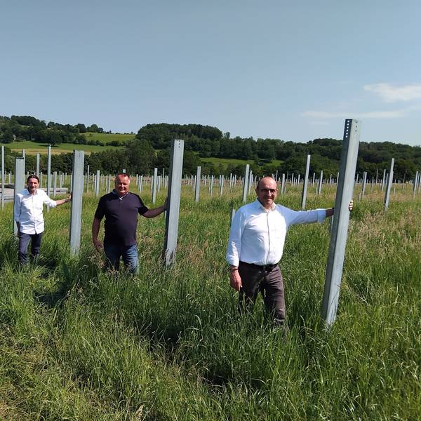 Auf den knapp 9000 Pfählen liegen die Solarmodule, drunter sollen Schafe weiden, erklärten (v.l.) Bauleiter Christian Holz, Landwirt Stefan Frings und Dietmar Hansen, Vorstand der Bürgerenergie Rhein-Sieg.