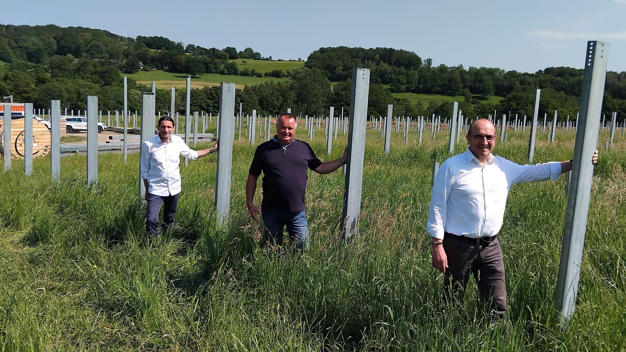 Auf den knapp 9000 Pfählen liegen die Solarmodule, drunter sollen Schafe weiden, erklärten (v.l.) Bauleiter Christian Holz, Landwirt Stefan Frings und Dietmar Hansen, Vorstand der Bürgerenergie Rhein-Sieg.