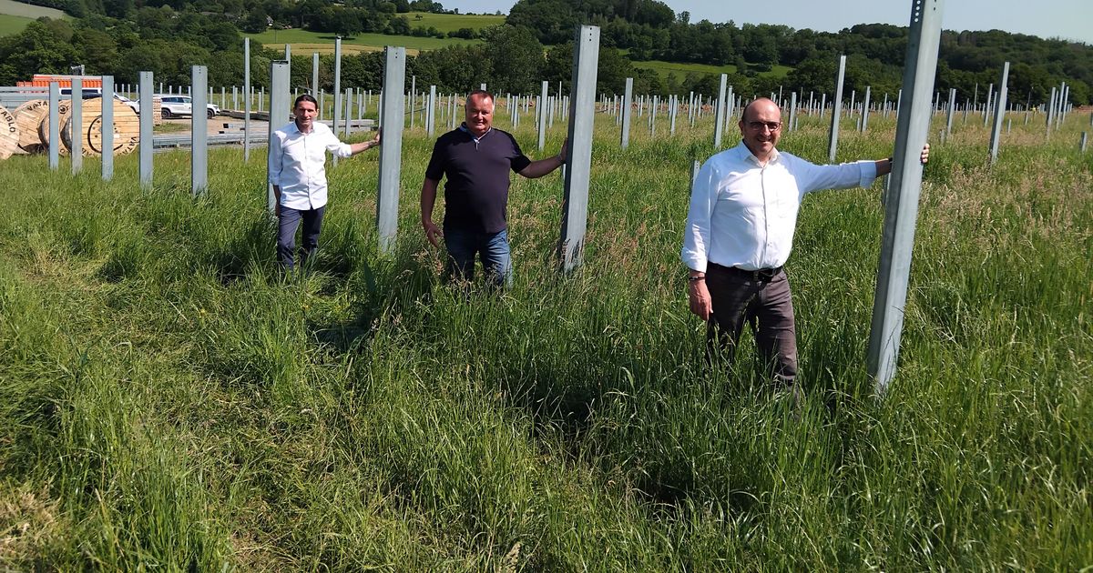 Erddeponie: Bürger finanzieren den Riesen-Solarpark in Much