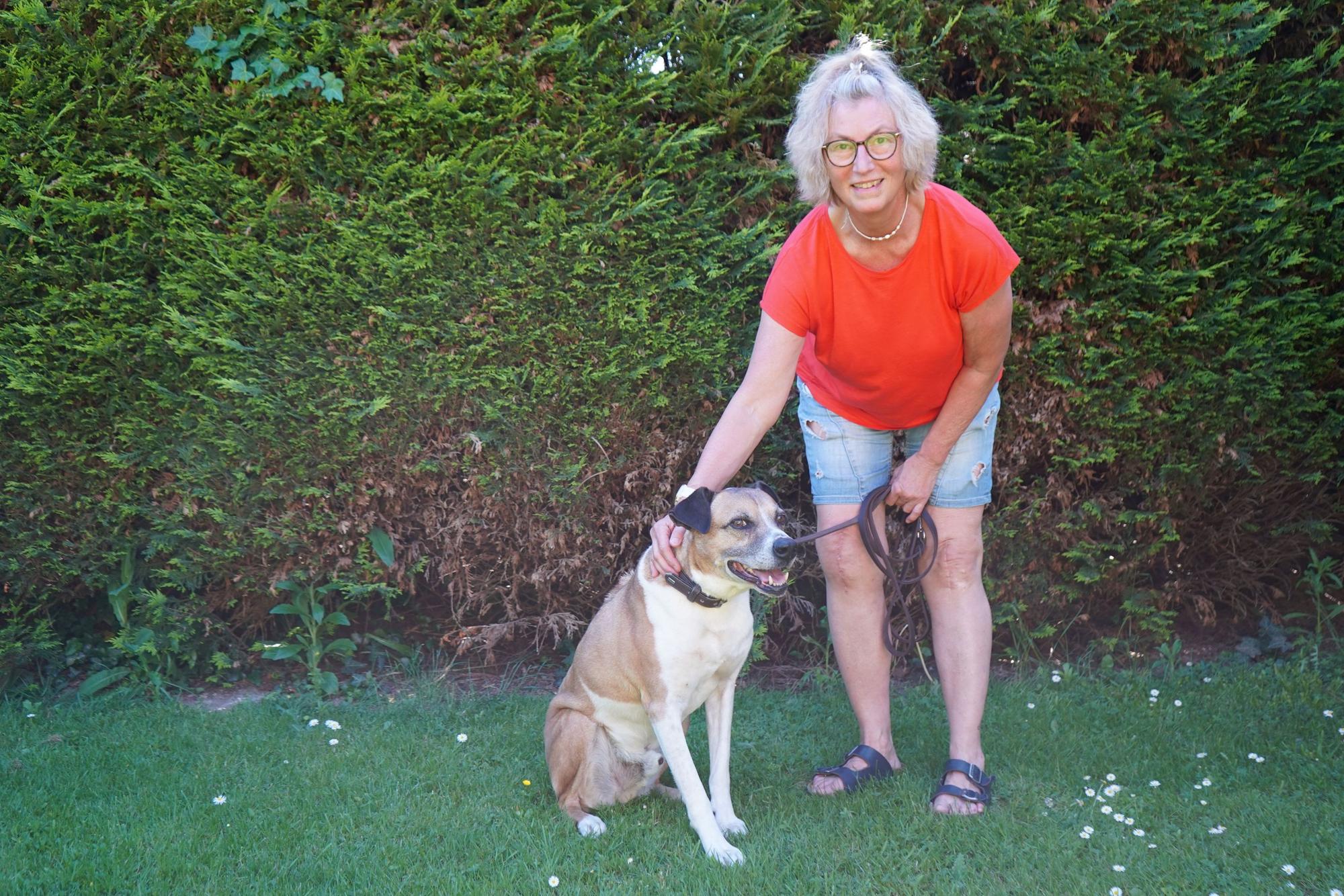 Das Bild zeigt die Gassigeherin, die den Hund an der Leine hält.