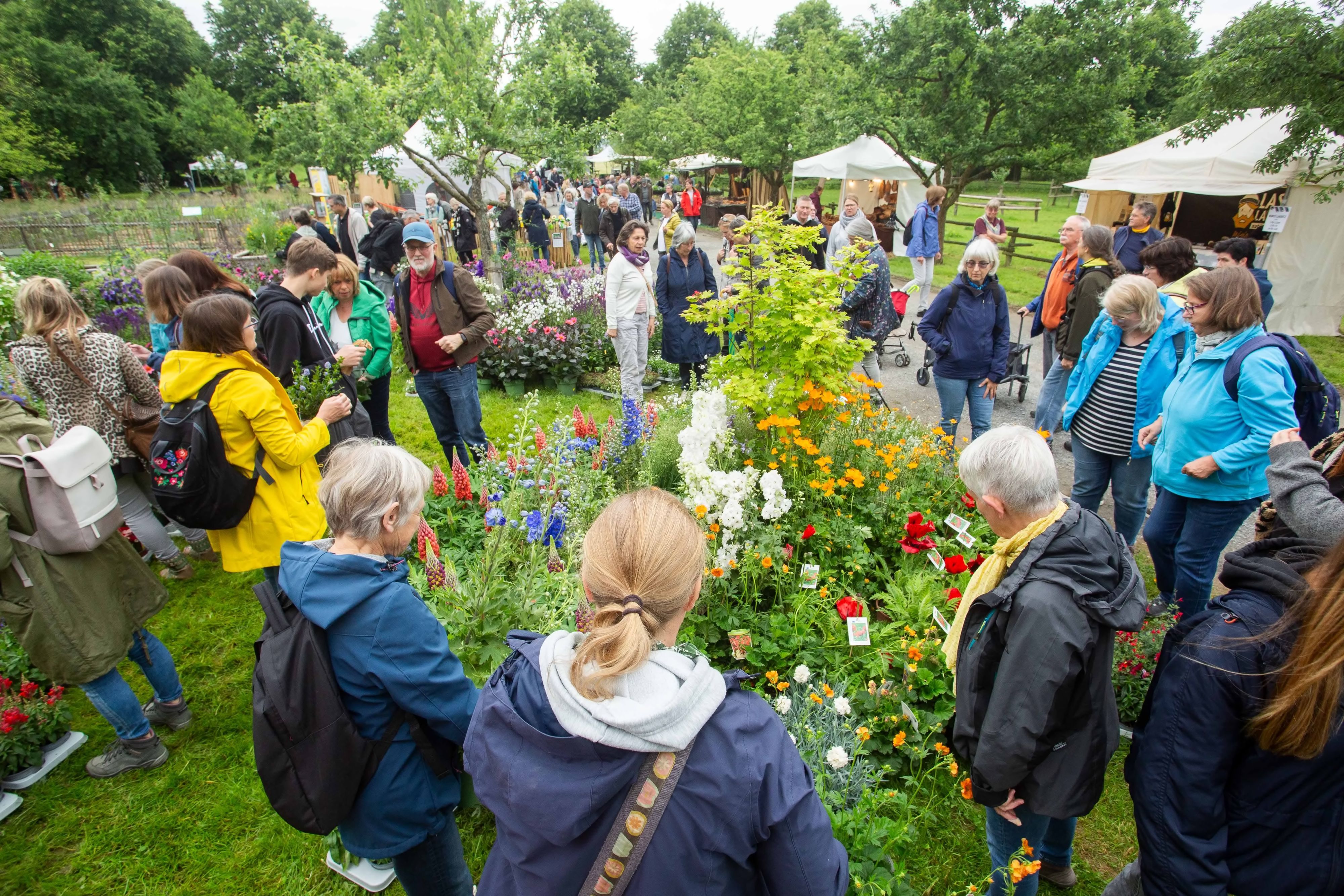 Gartenmarkt „Jrön un Jedön“ am 30. und 31. Mai im LVR-Freilichtmuseum Lindlar mit rund 100 Ausstellenden. (Archivfoto)