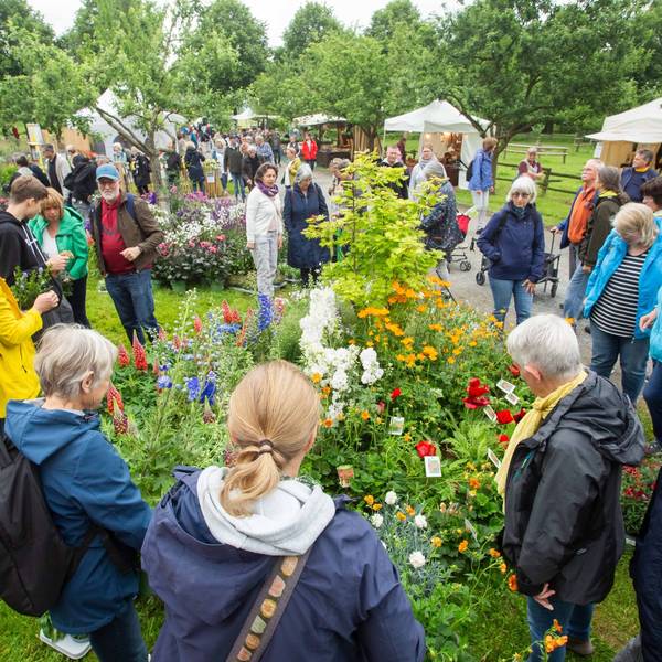 Gartenmarkt „Jrön un Jedön“ am 30. und 31. Mai im LVR-Freilichtmuseum Lindlar mit rund 100 Ausstellenden. (Archivfoto)