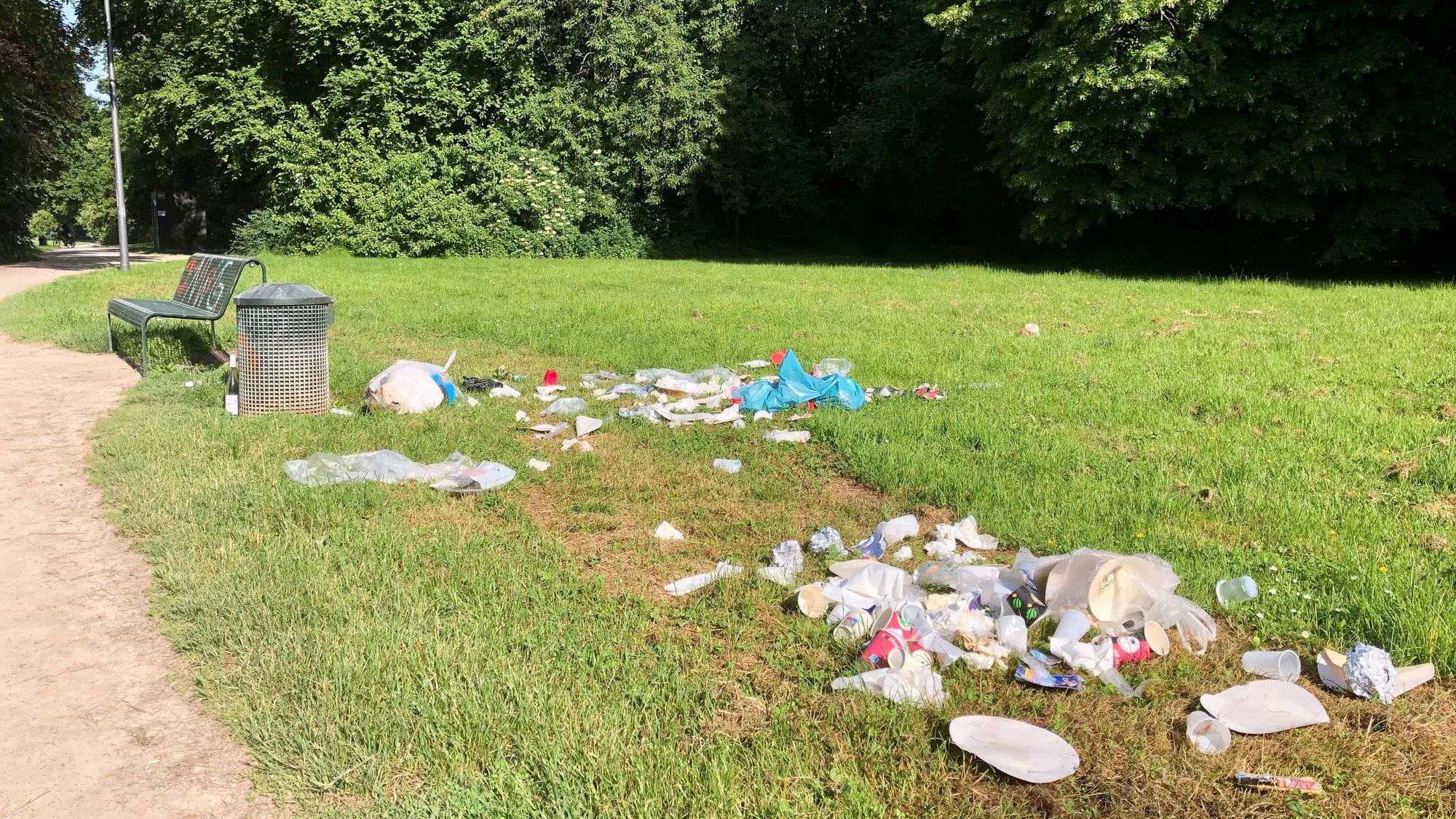 Müll liegt auf einer Wiese.