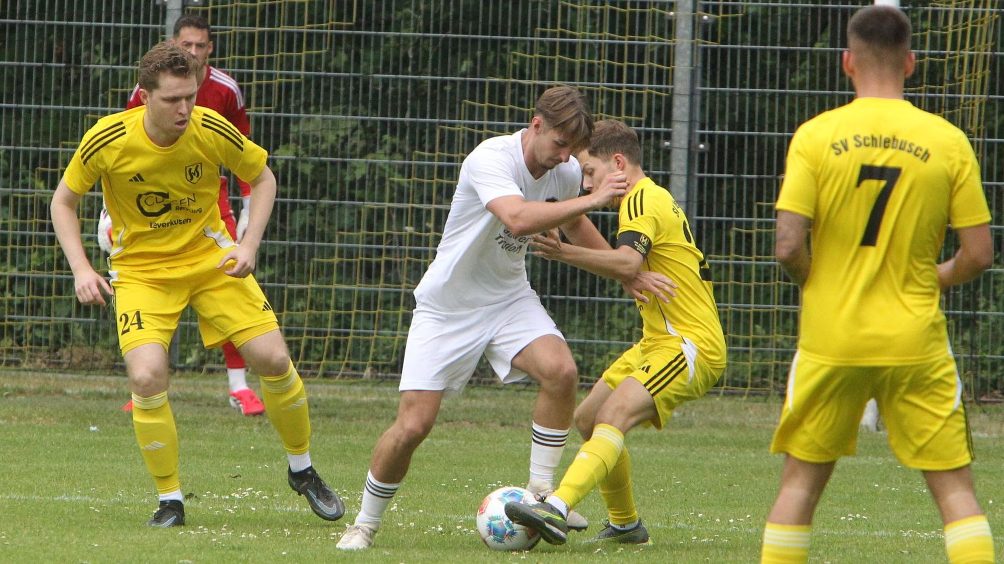 Jonas Degenhart