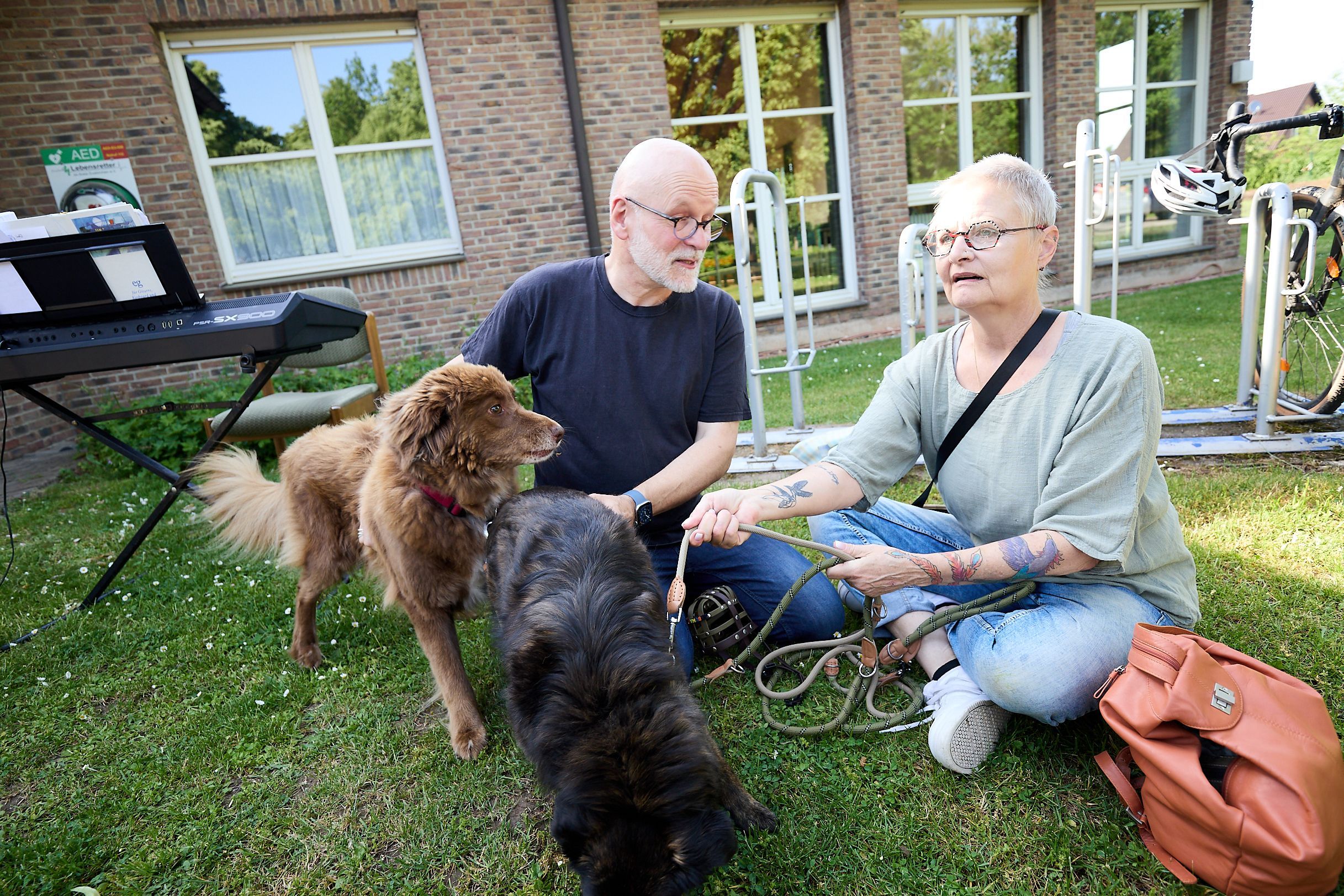 Ein Mann und eine Frau sitzen im Garten auf dem Boden neben zwei Hunden.