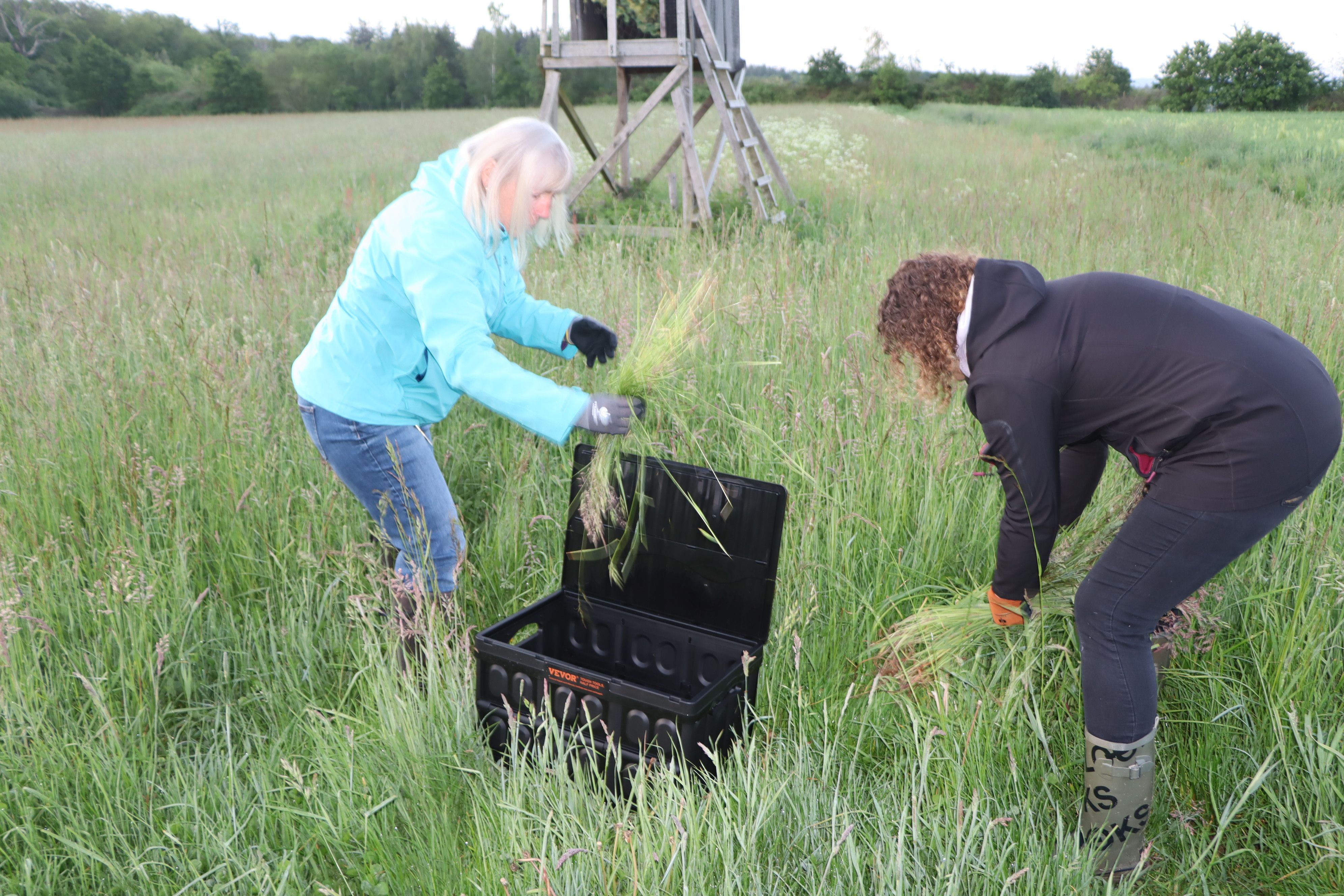 Sogar die Rettungsboxen waren vorbereitet und mit frischem Gras ausgepolstert.