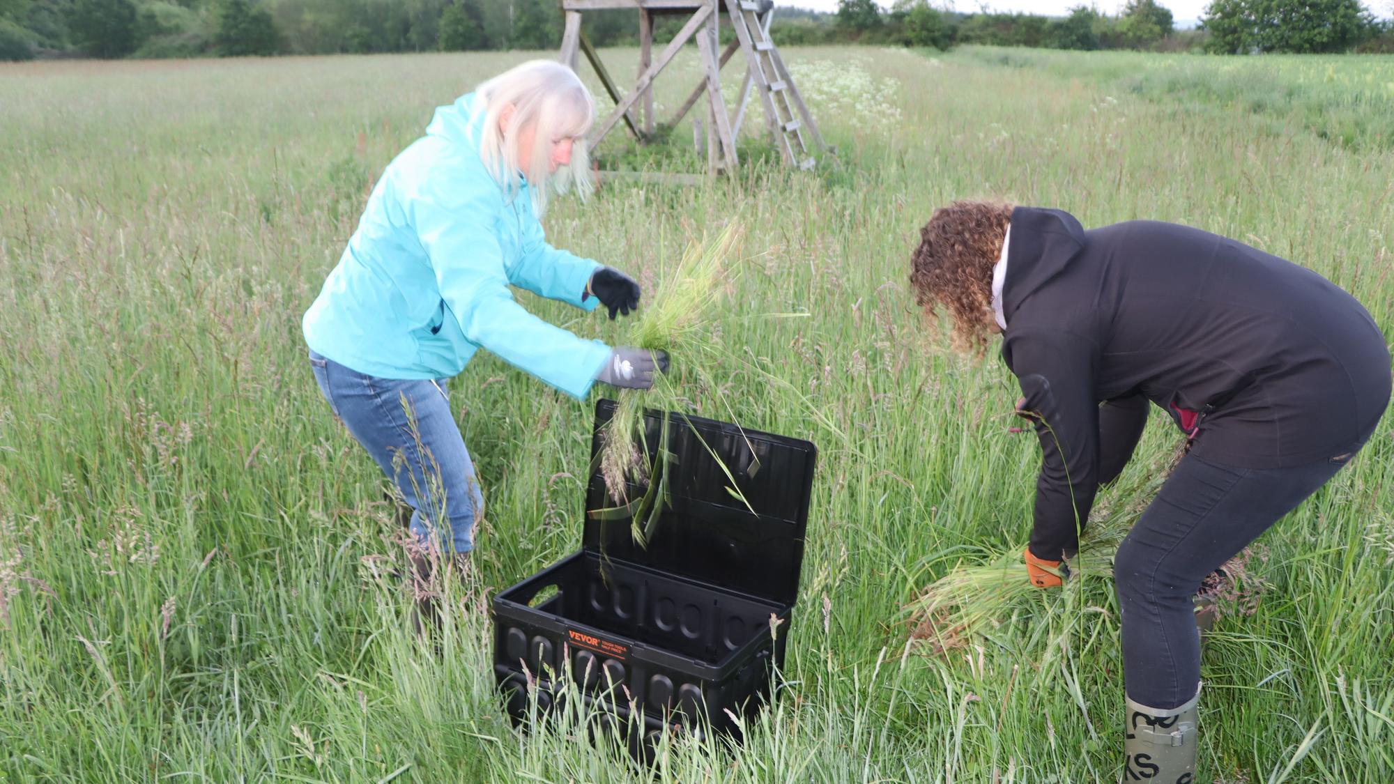 Sogar die Rettungsboxen waren vorbereitet und mit frischem Gras ausgepolstert.