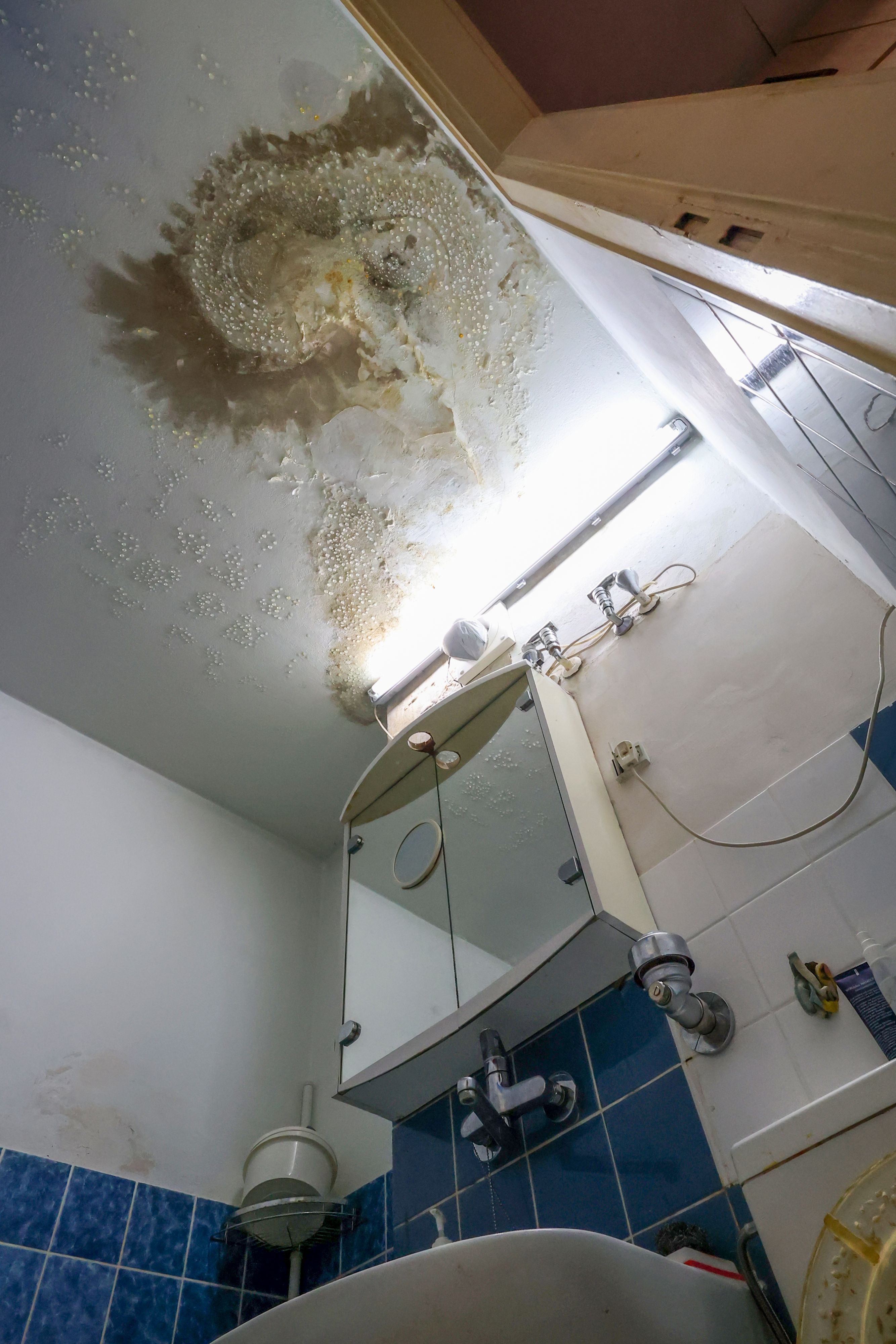 In der Wohnung von Vladimir Titov wuchtert überall der Schimmel.