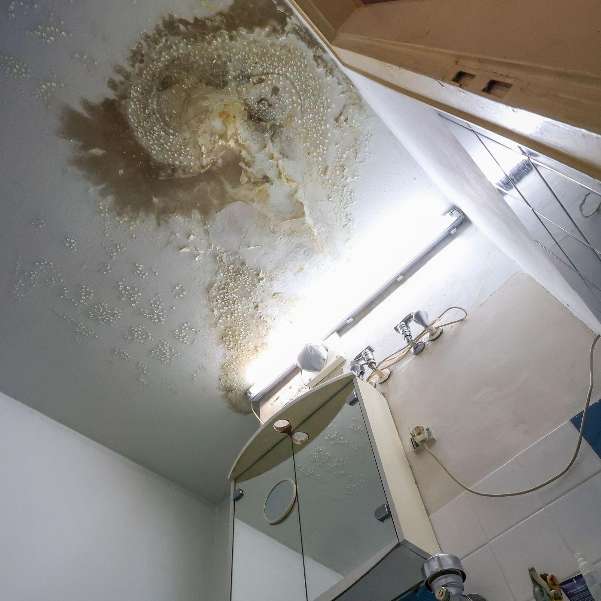 In der Wohnung von Vladimir Titov wuchtert überall der Schimmel.
