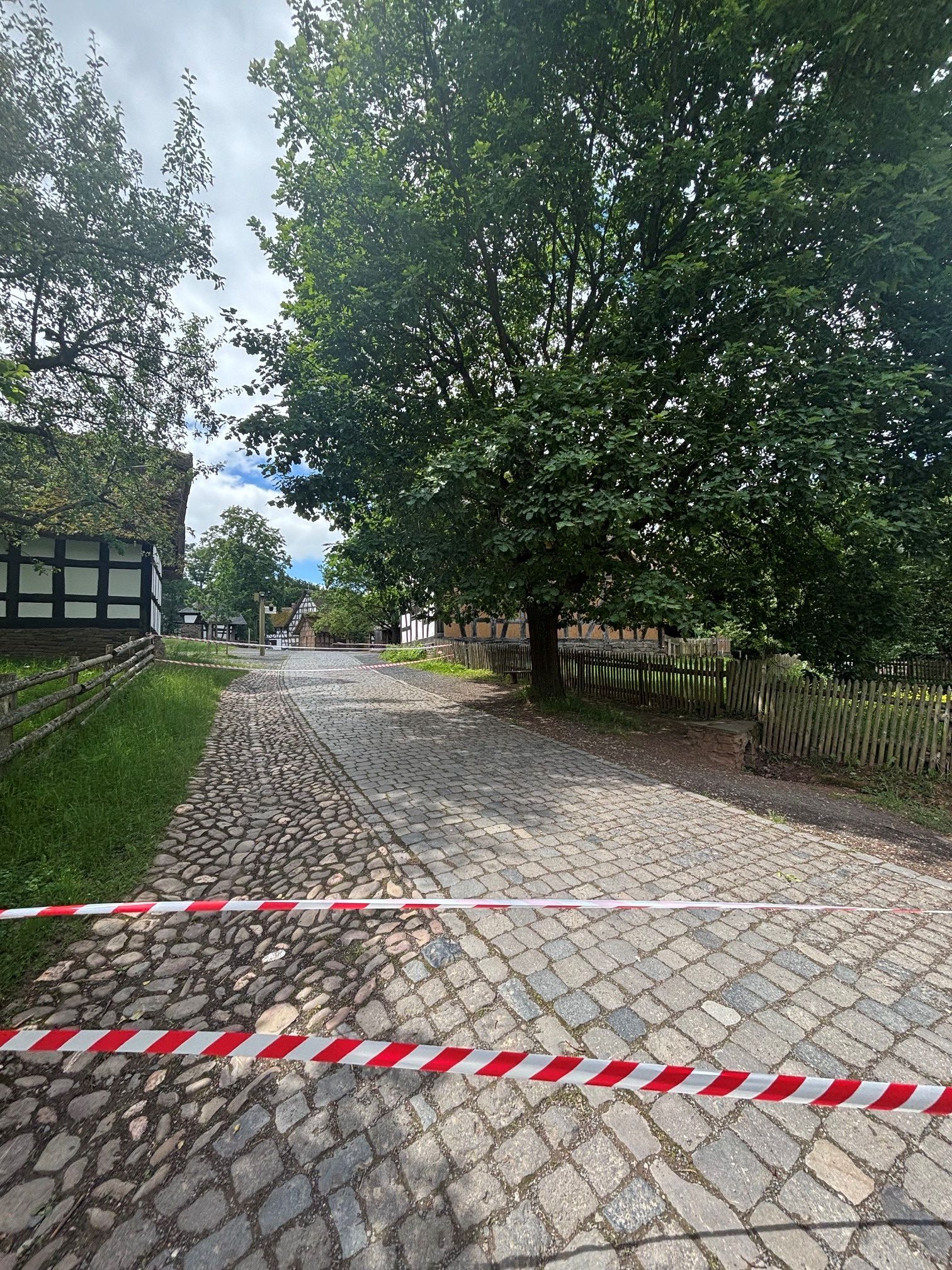 Ein Weg musste wegen des Schädlingsbefalls abgesperrt werden.
