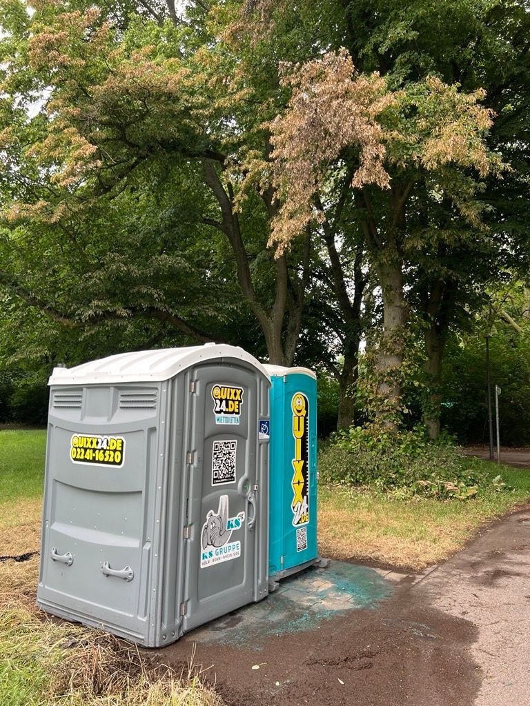Die angesengten Blätter des Baums zeugen noch von dem Feuer, das am 29. Mai in den Toilettenhäuschen des Beethovenparks ausgebrochen war.