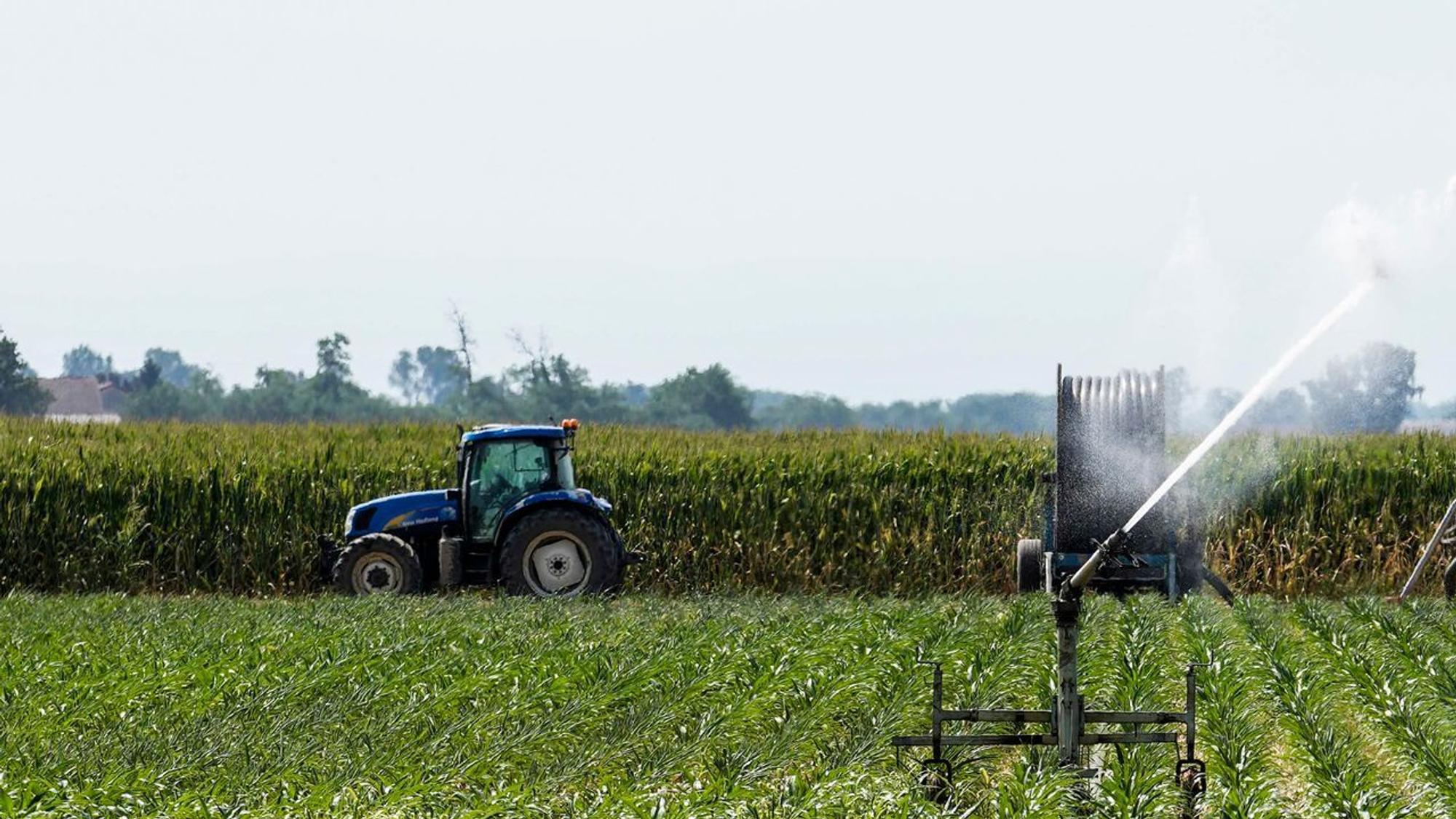 Landwirtschaft in Italien
