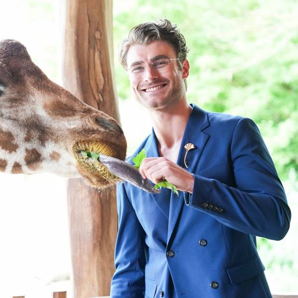 Model Linus Weber wird Namenspate für Giraffenjungtier
