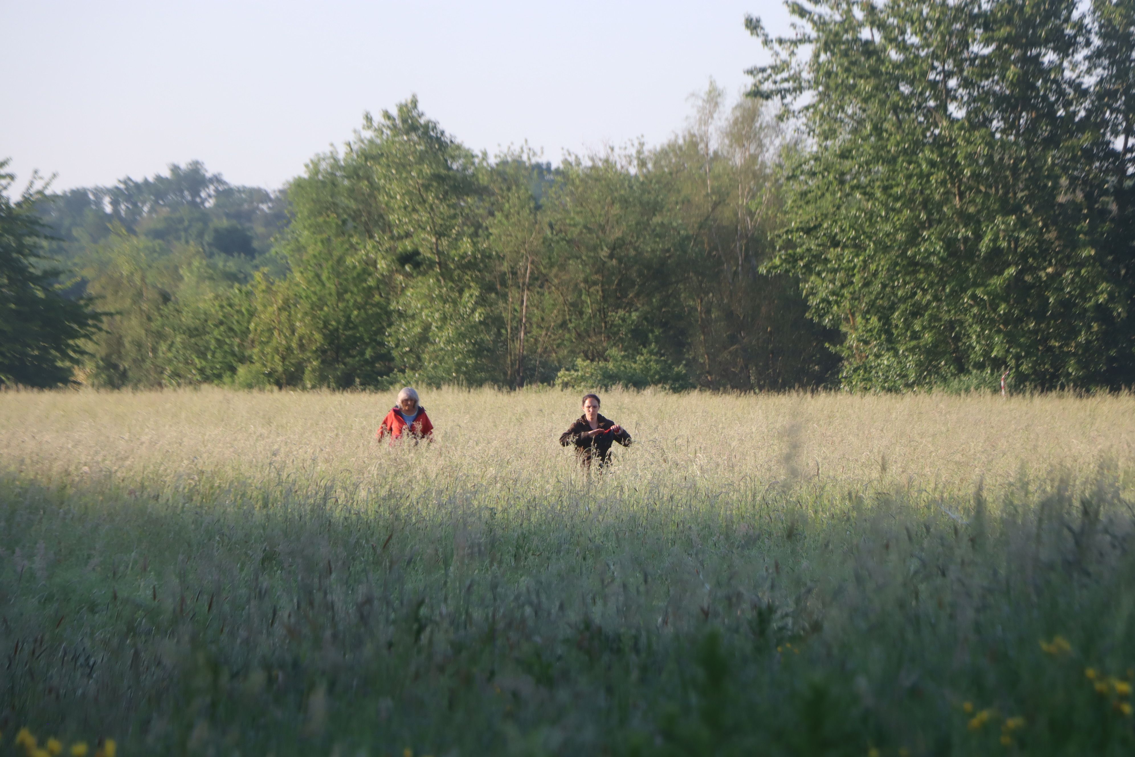 Kondition braucht es auch, um durch das hohe Gras zu stiefeln.