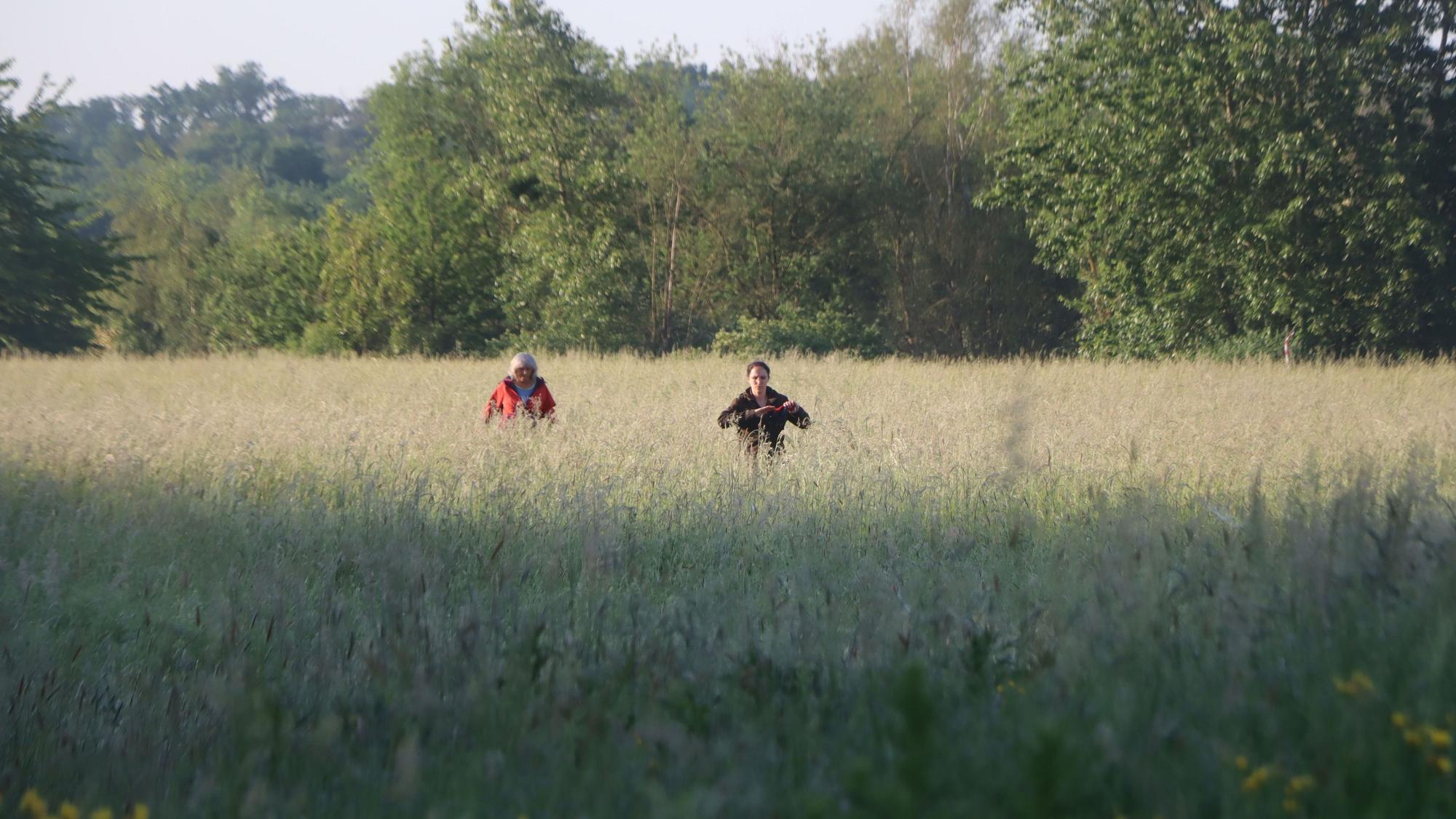 Kondition braucht es auch, um durch das hohe Gras zu stiefeln.