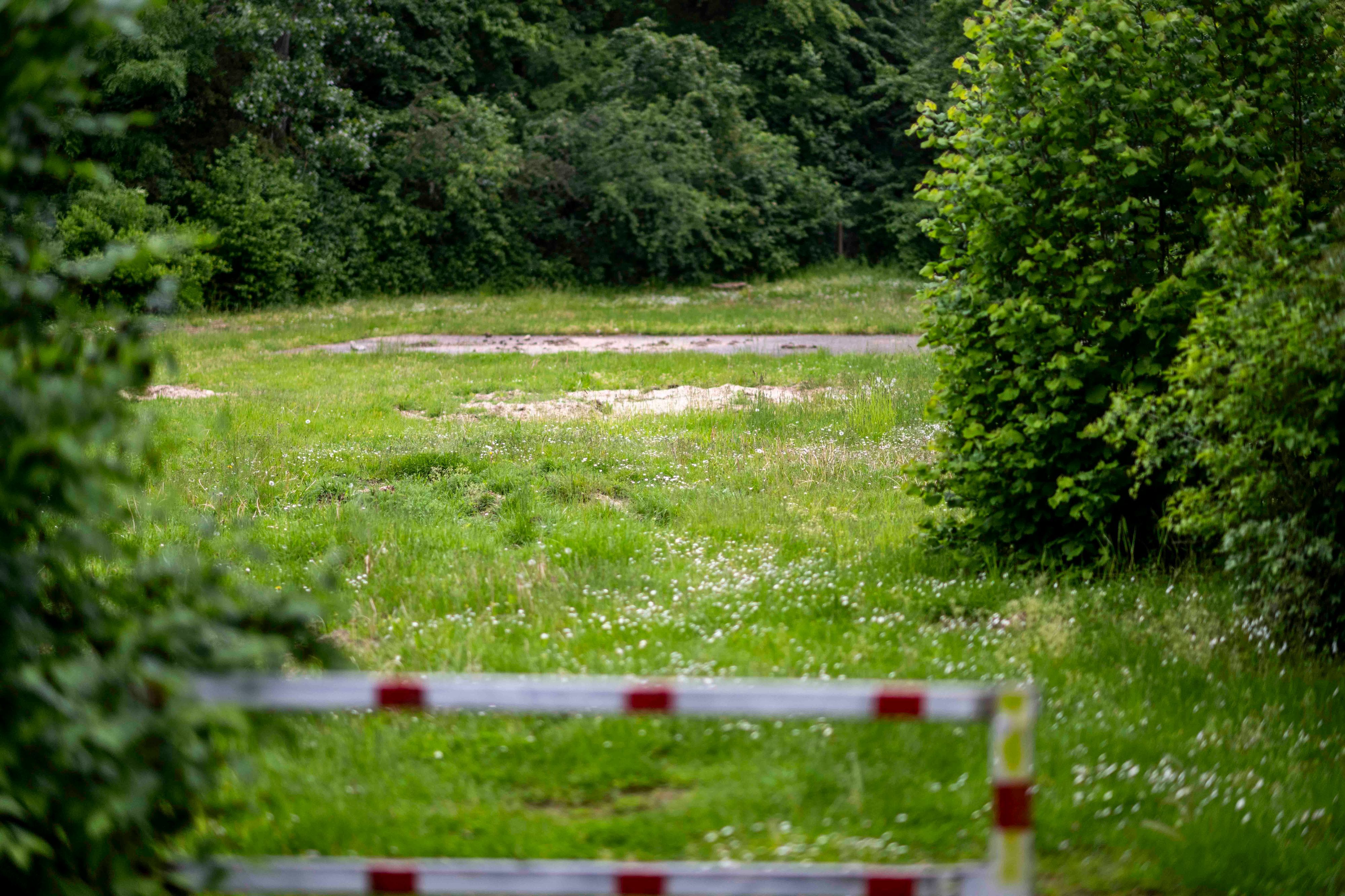 Das Bild zeigt eine Wiese umringt von Bäumen, auf der einst ein Spielplatz stand.