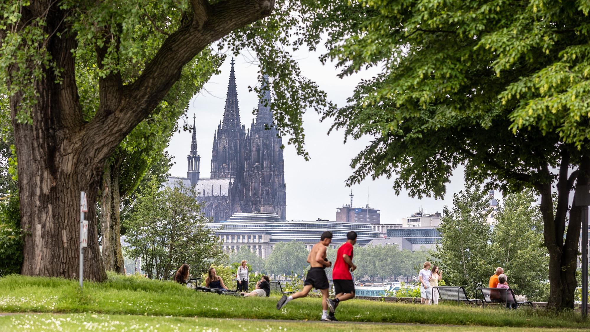 Der Rheinpark, im Hintergrund ist der Kölner Dom sichtbar. (Symbolbild)