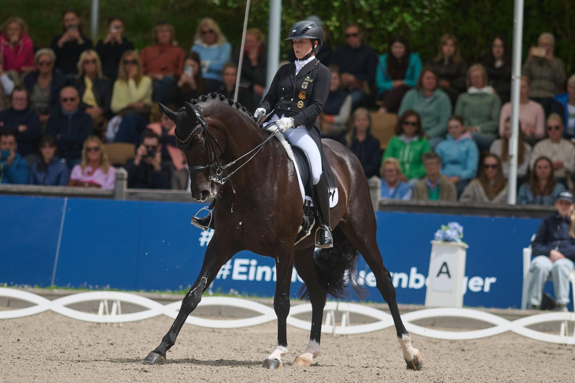 Pferdesport Dressur: Deutsche Meisterschaft