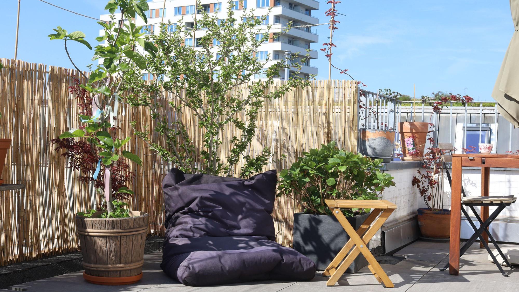 Ein Sitzsack und viel Grün finden sich auf der Terrasse.