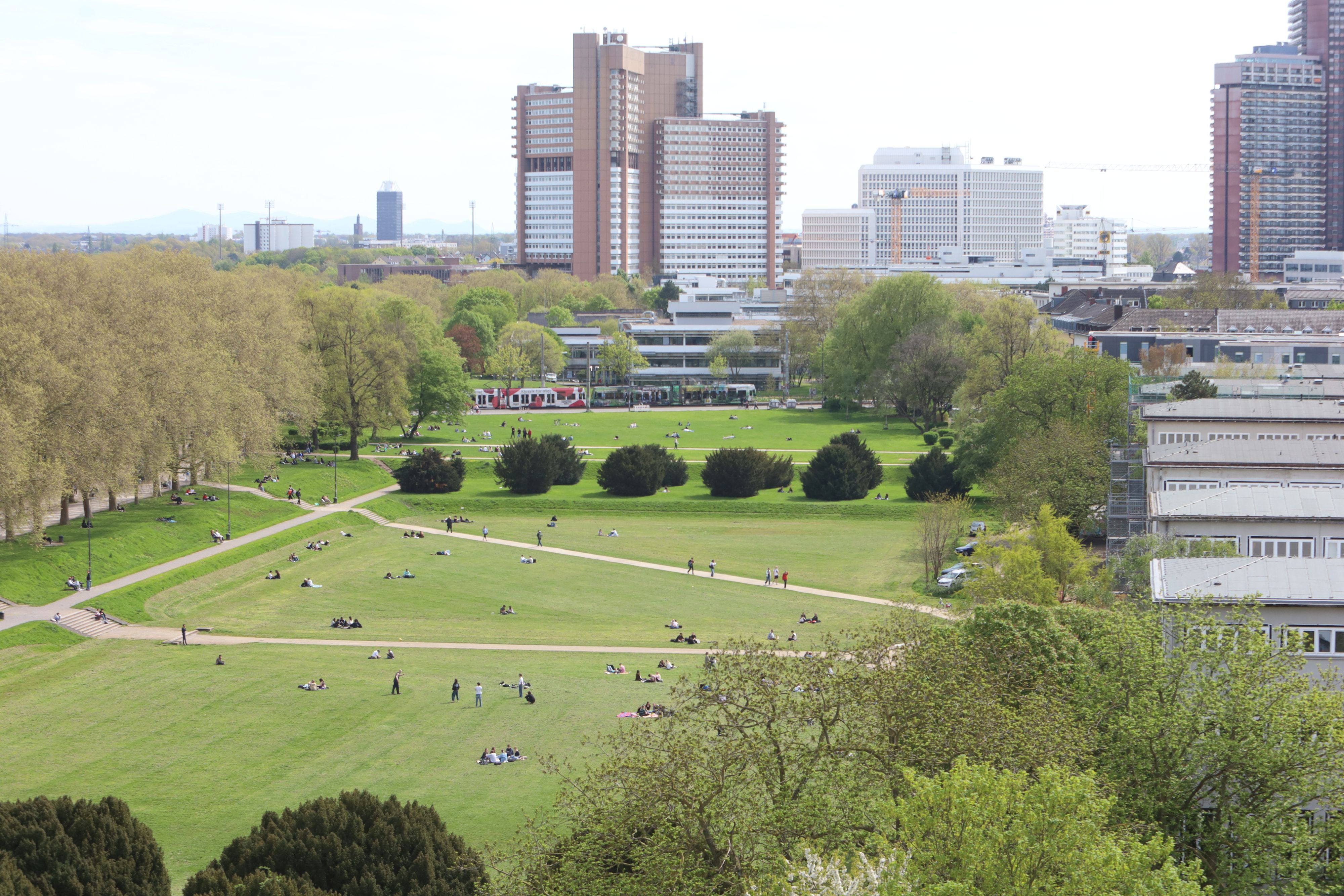 Die Wiese auf dem Campus der Universität zu Köln.