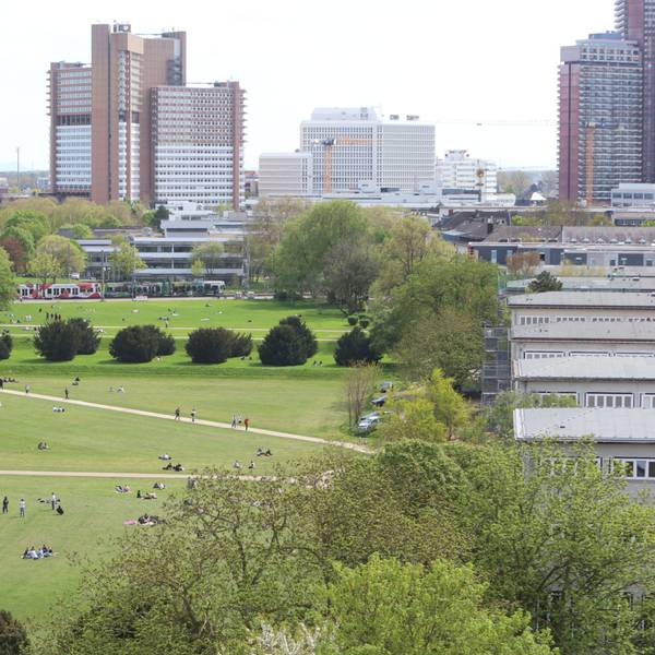 Die Wiese auf dem Campus der Universität zu Köln.