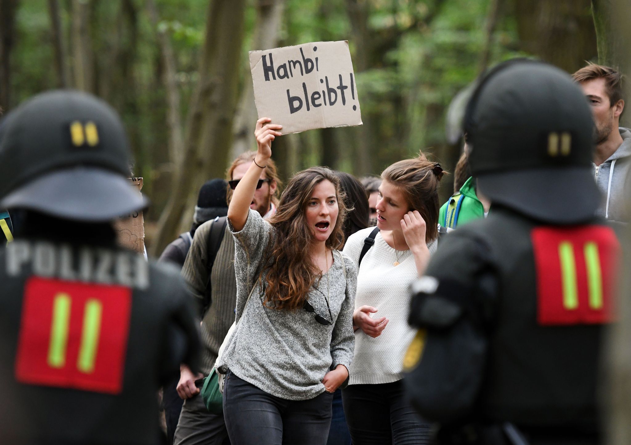 Hambacher Forst