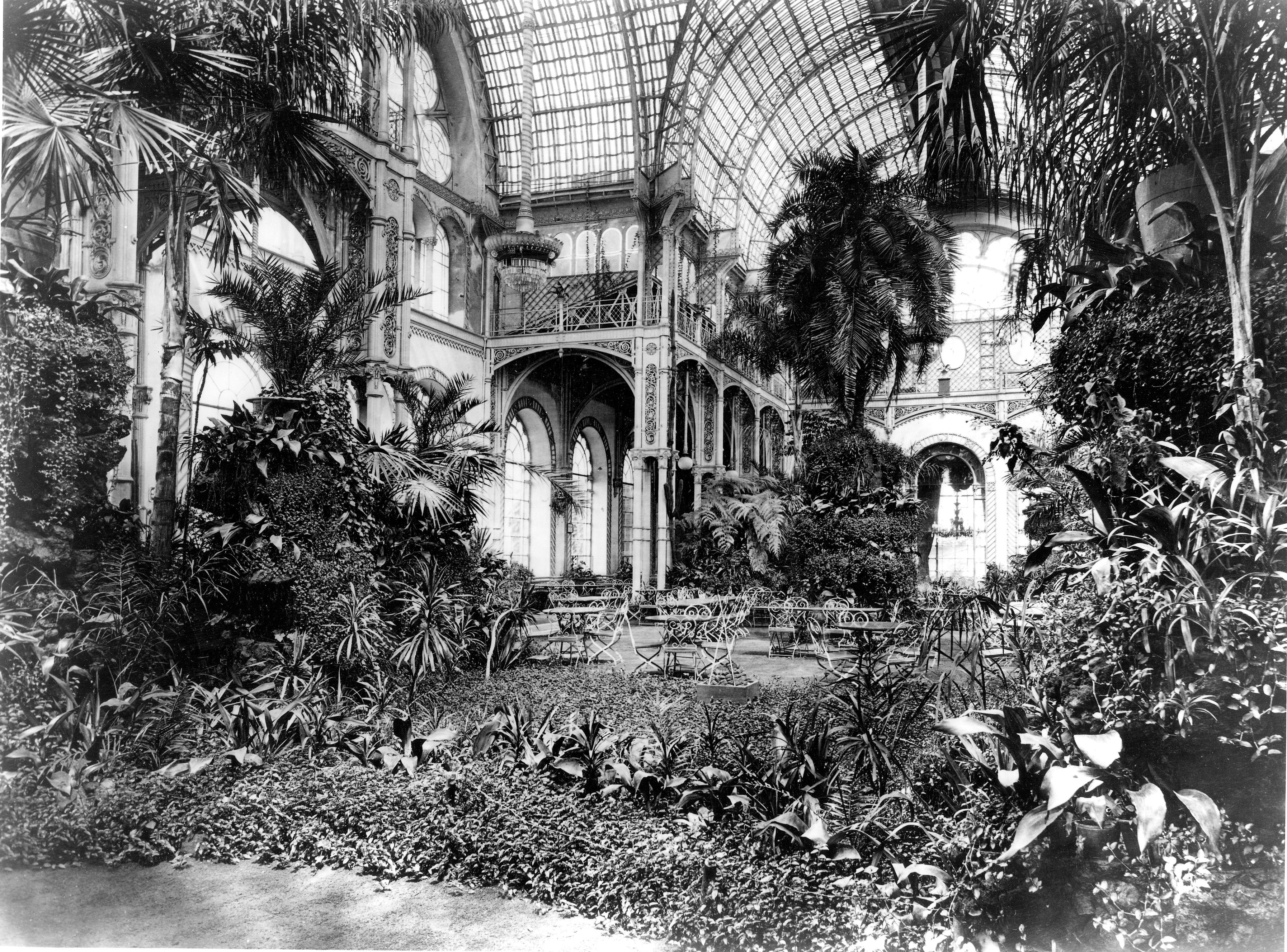 So sah der Palmengarten im 1864 eröffneten Botanischen Garten in Köln aus. Das Gebäude wurde als Festhaus „Flora“ wieder aufgebaut.