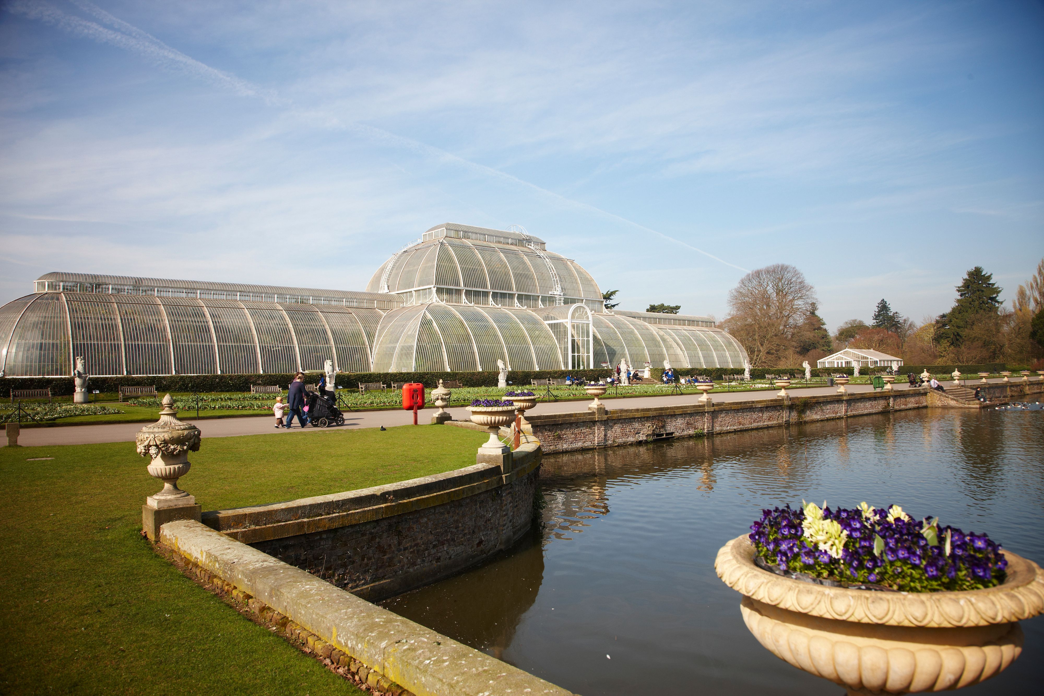 Das Palmenhaus des Kew Gardens in London