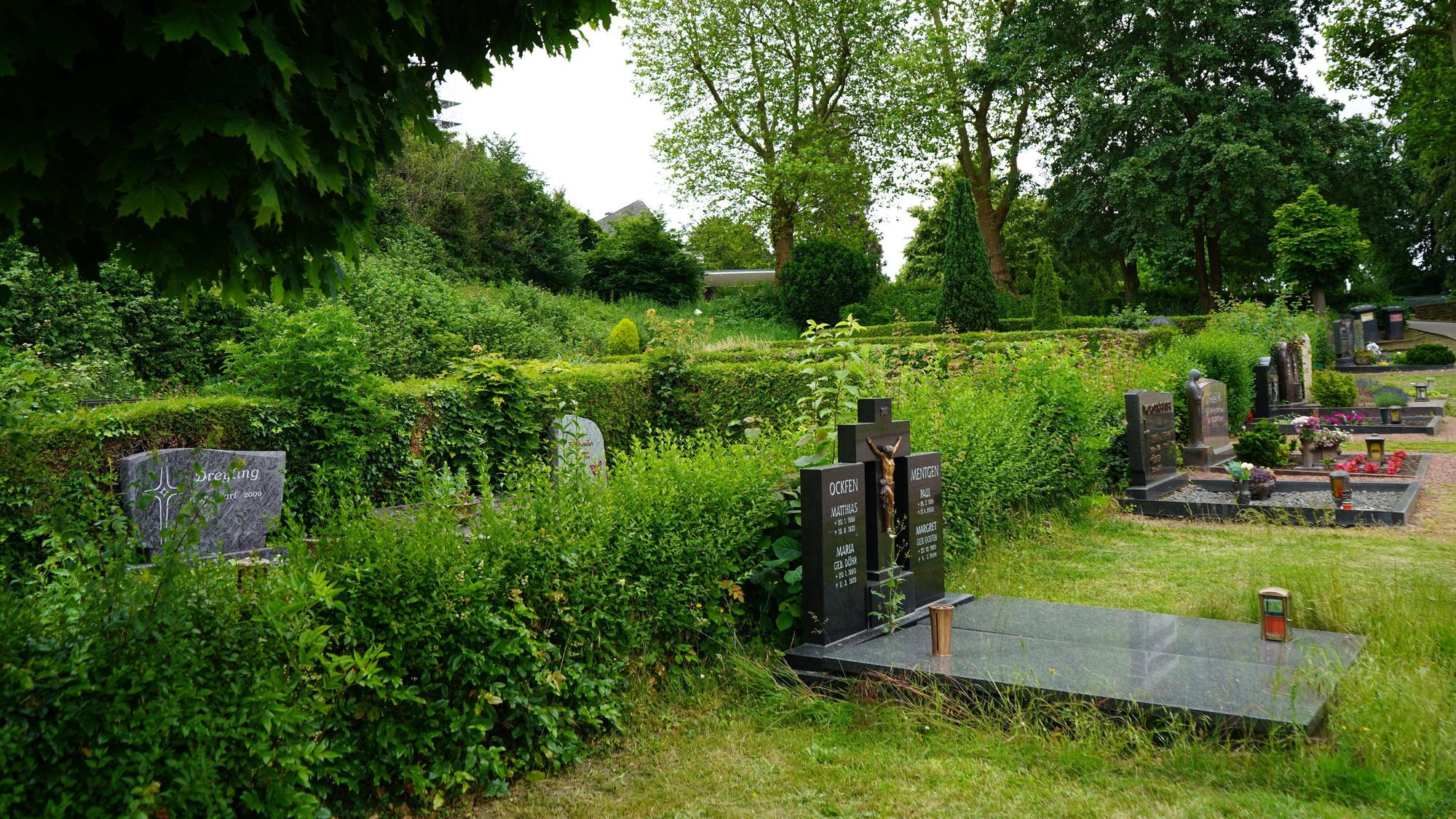Das Bild zeigt den Friedhof in Bergheim. Eine Reihe von Gräbern, dahinter eine Hecke.