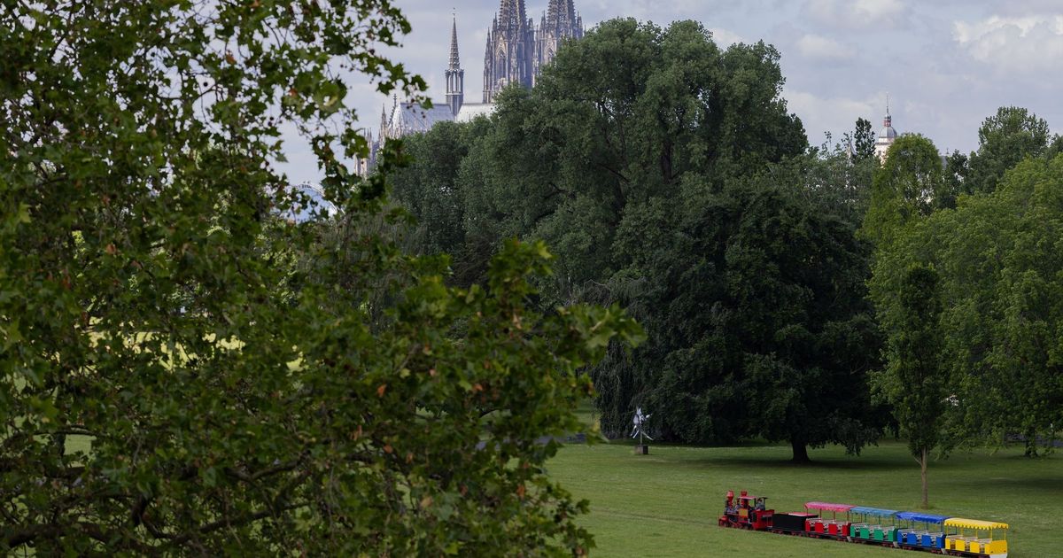No improvement in sight: DWD forecasts further showers and thunderstorms ...