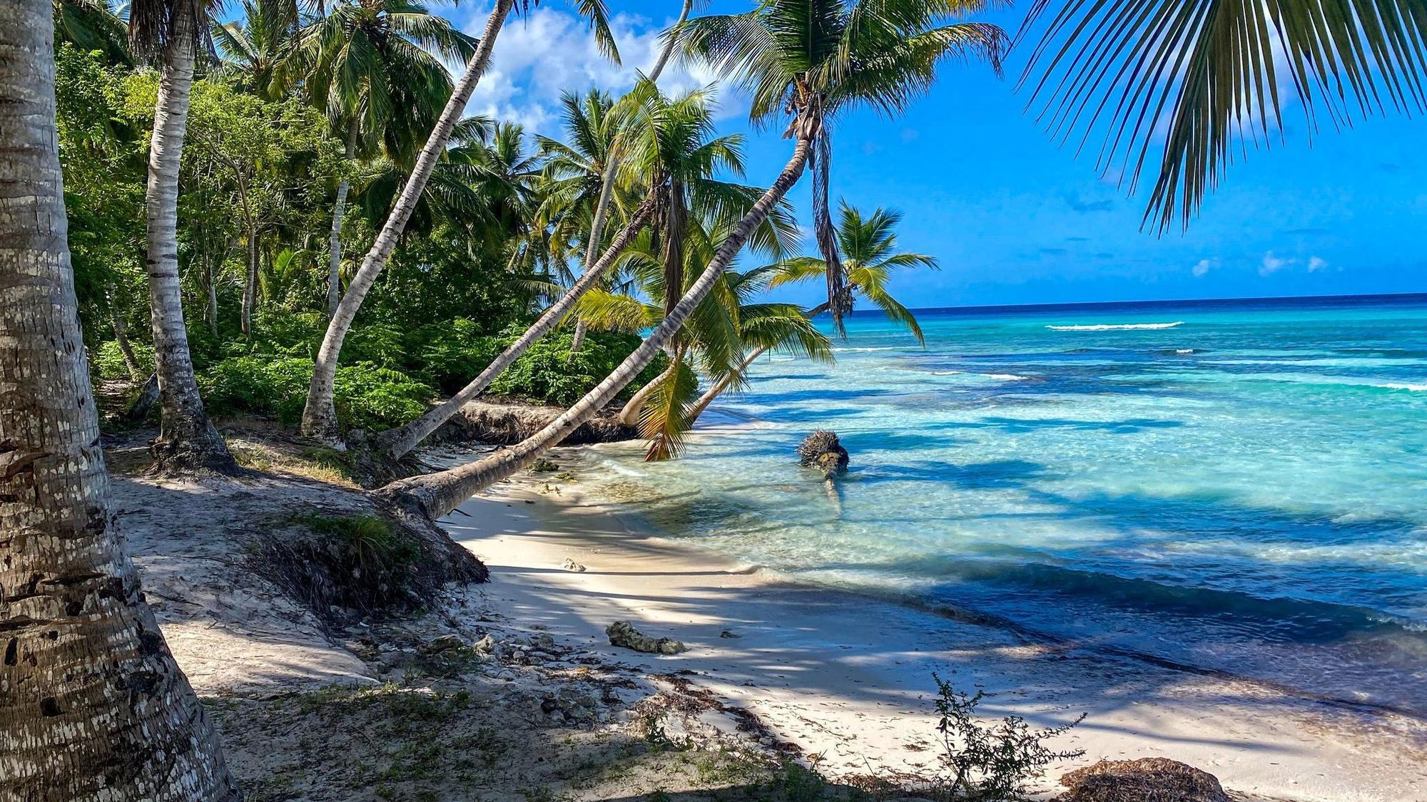 Palmen und Strand auf Soana