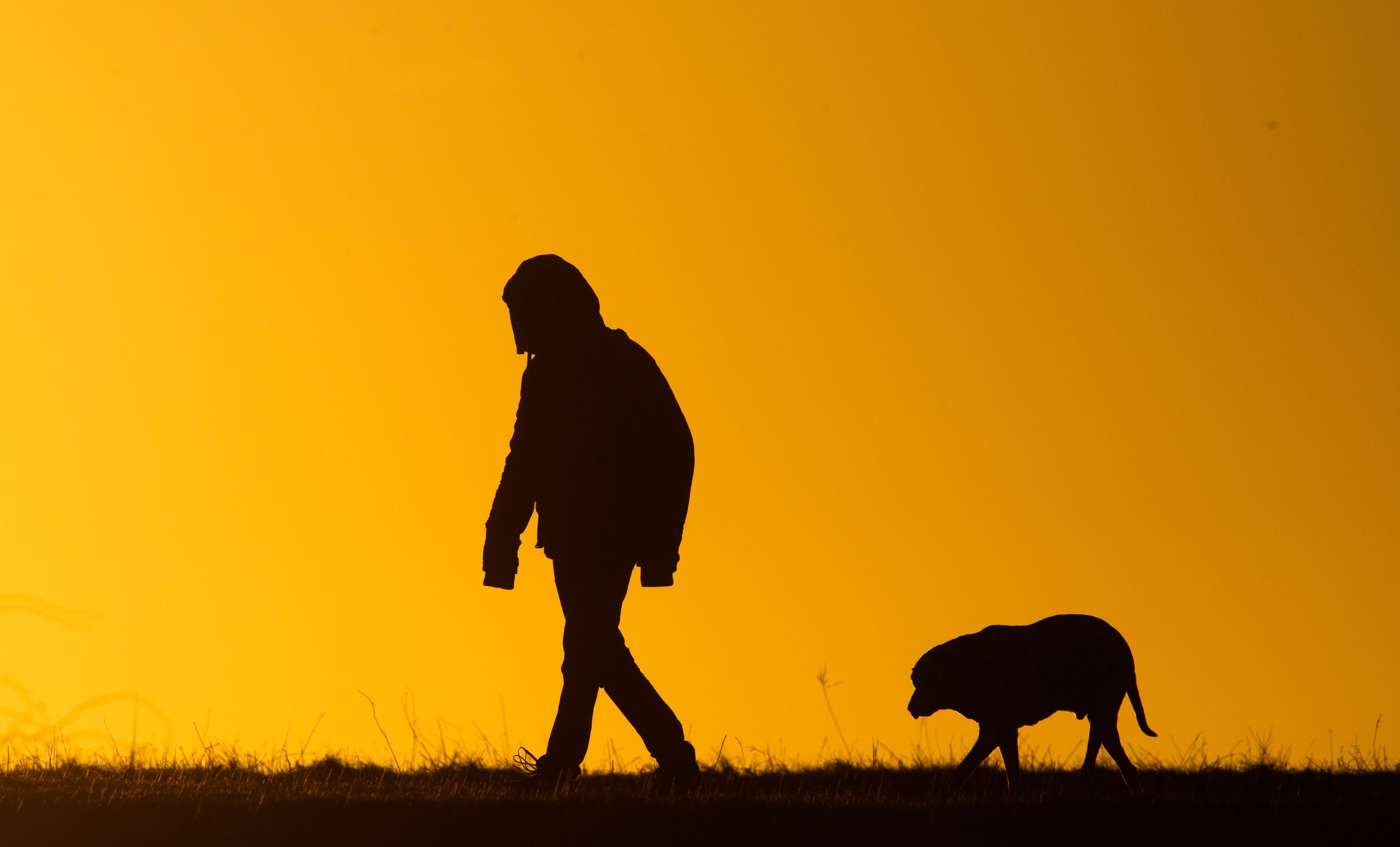 Ein Spaziergänger mit Hund