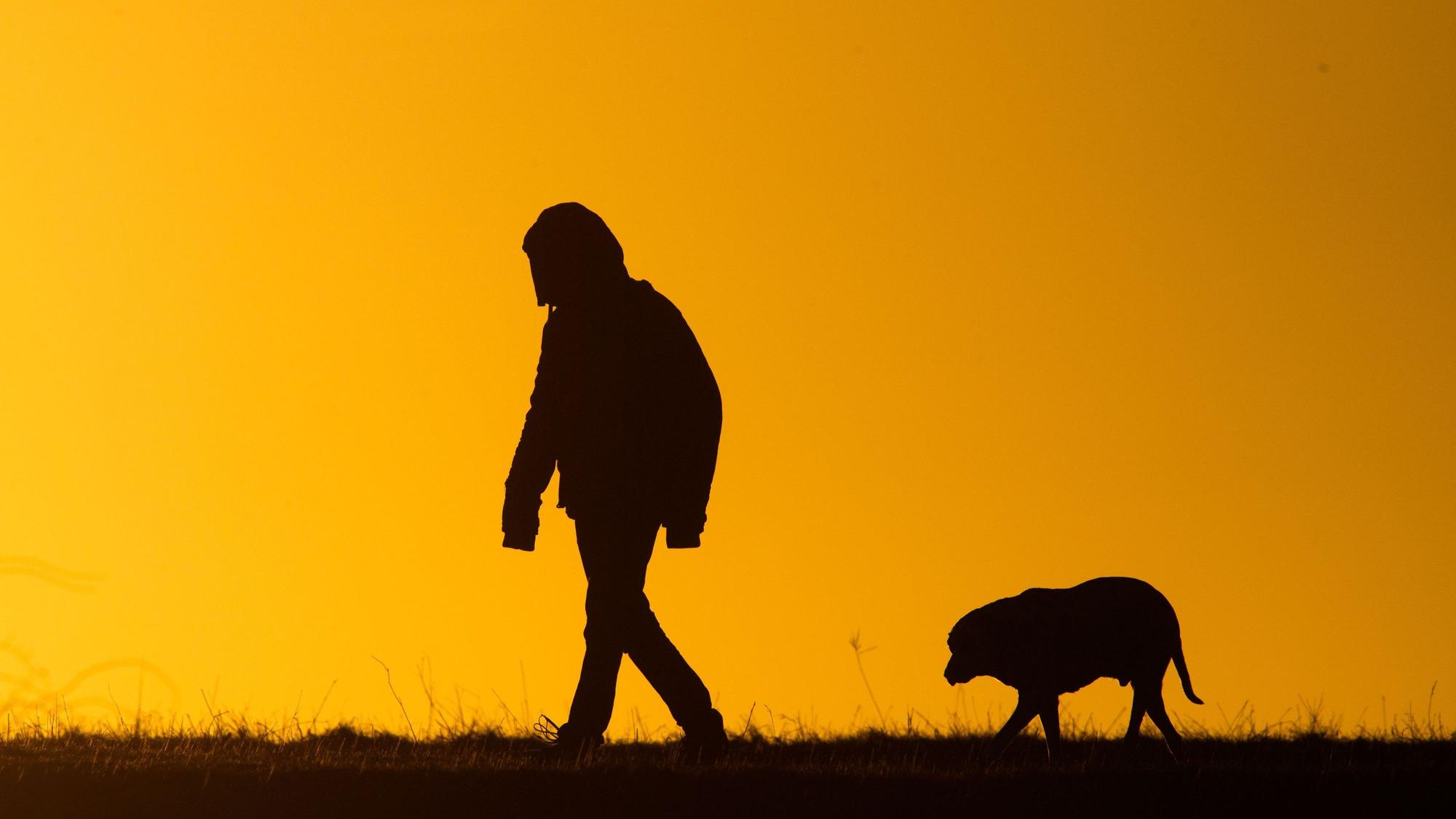 Ein Spaziergänger mit Hund
