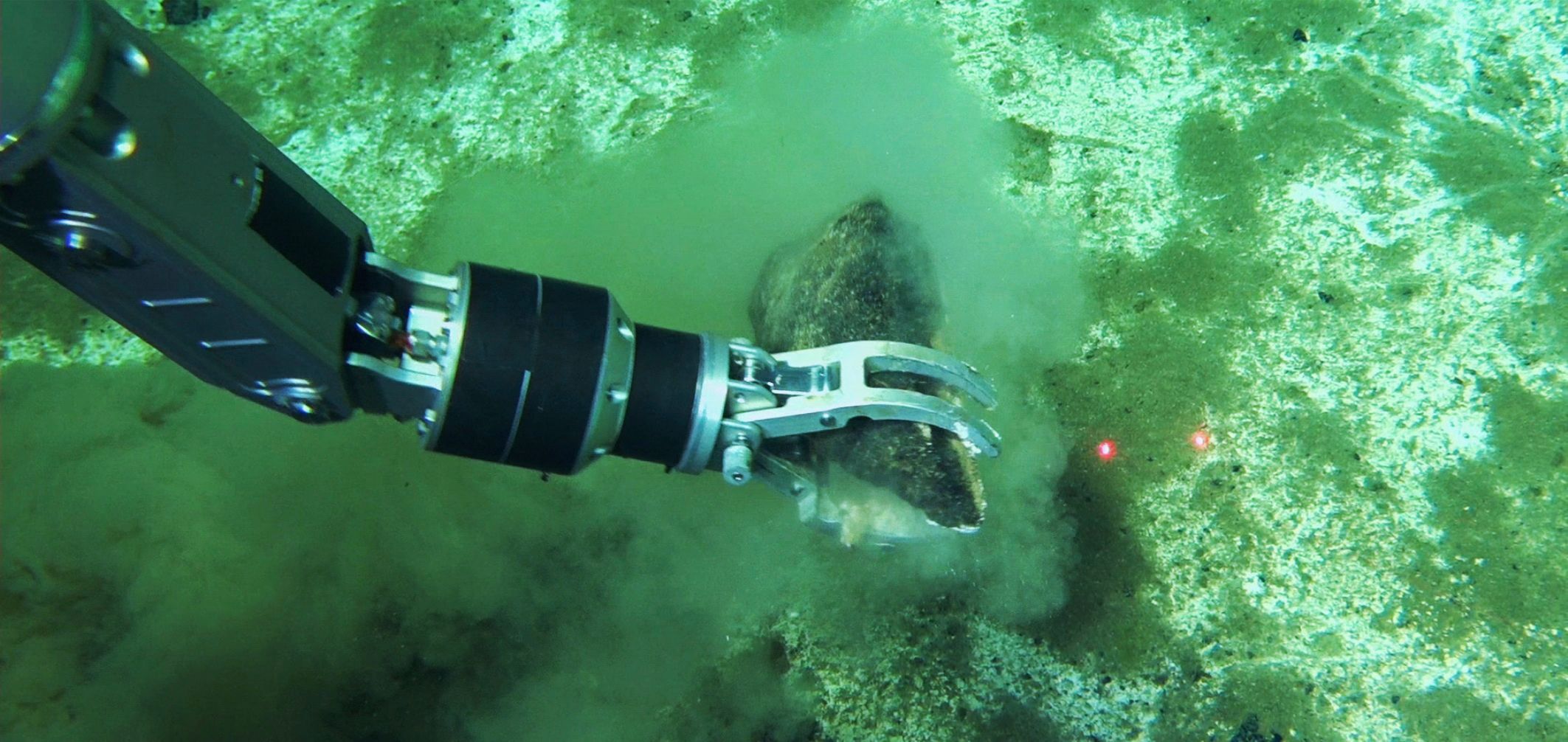 Ein Roboterarm an einem Walknochen.