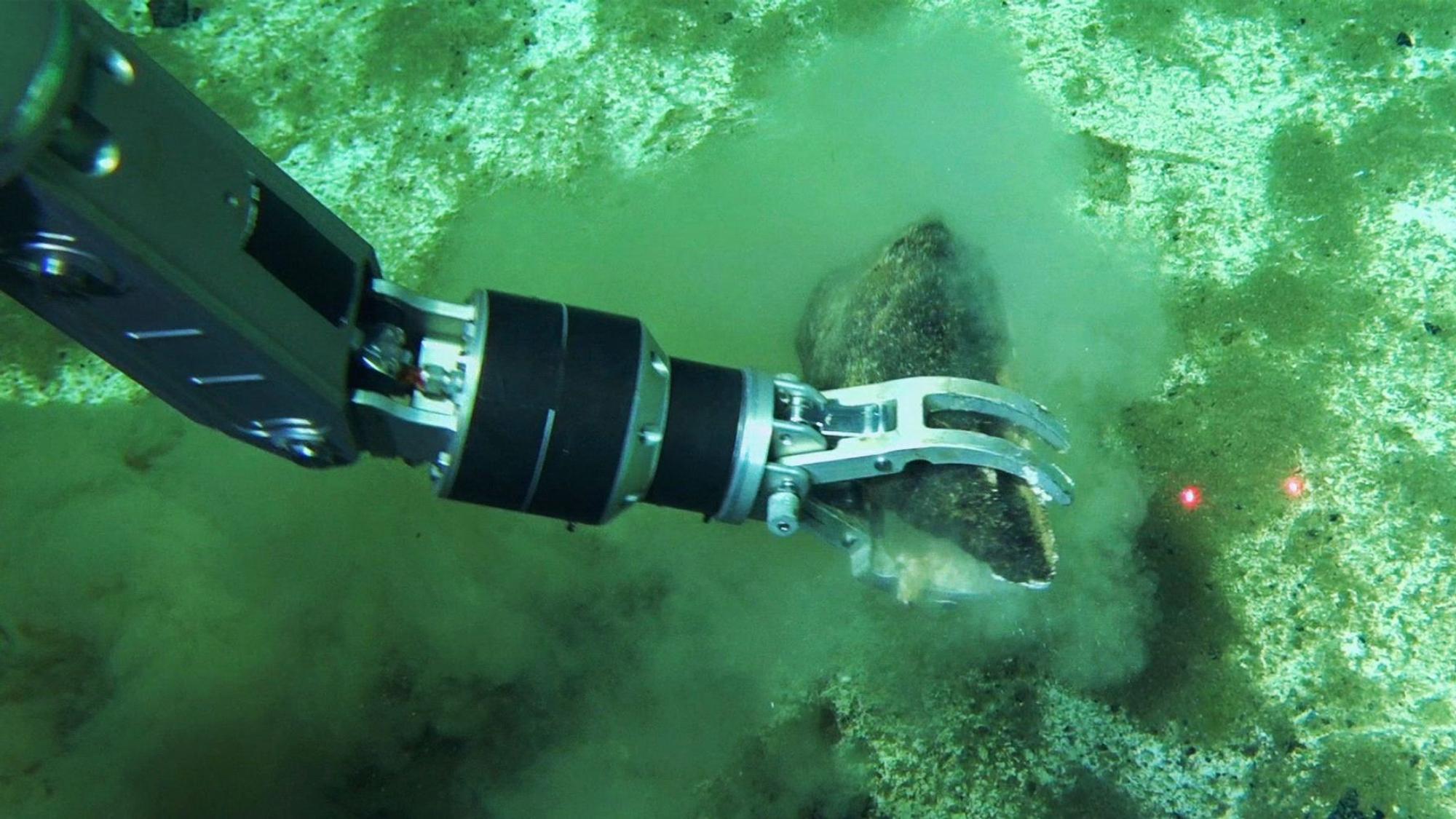 Ein Roboterarm an einem Walknochen.