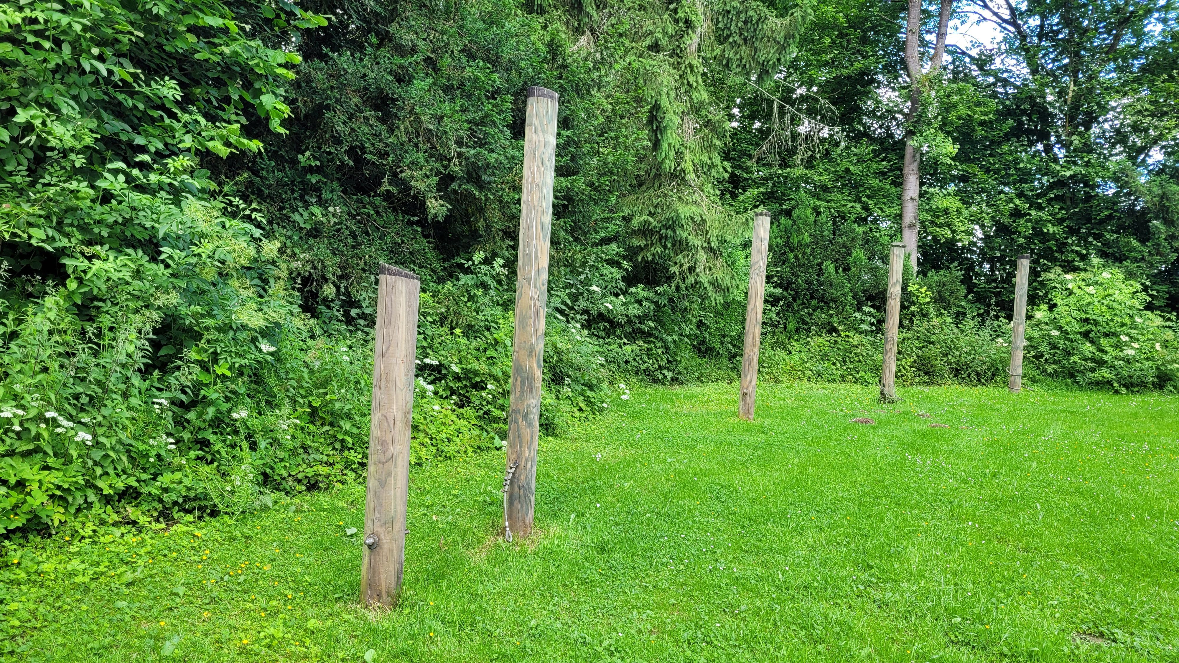 Das Foto zeigt die große Wiese