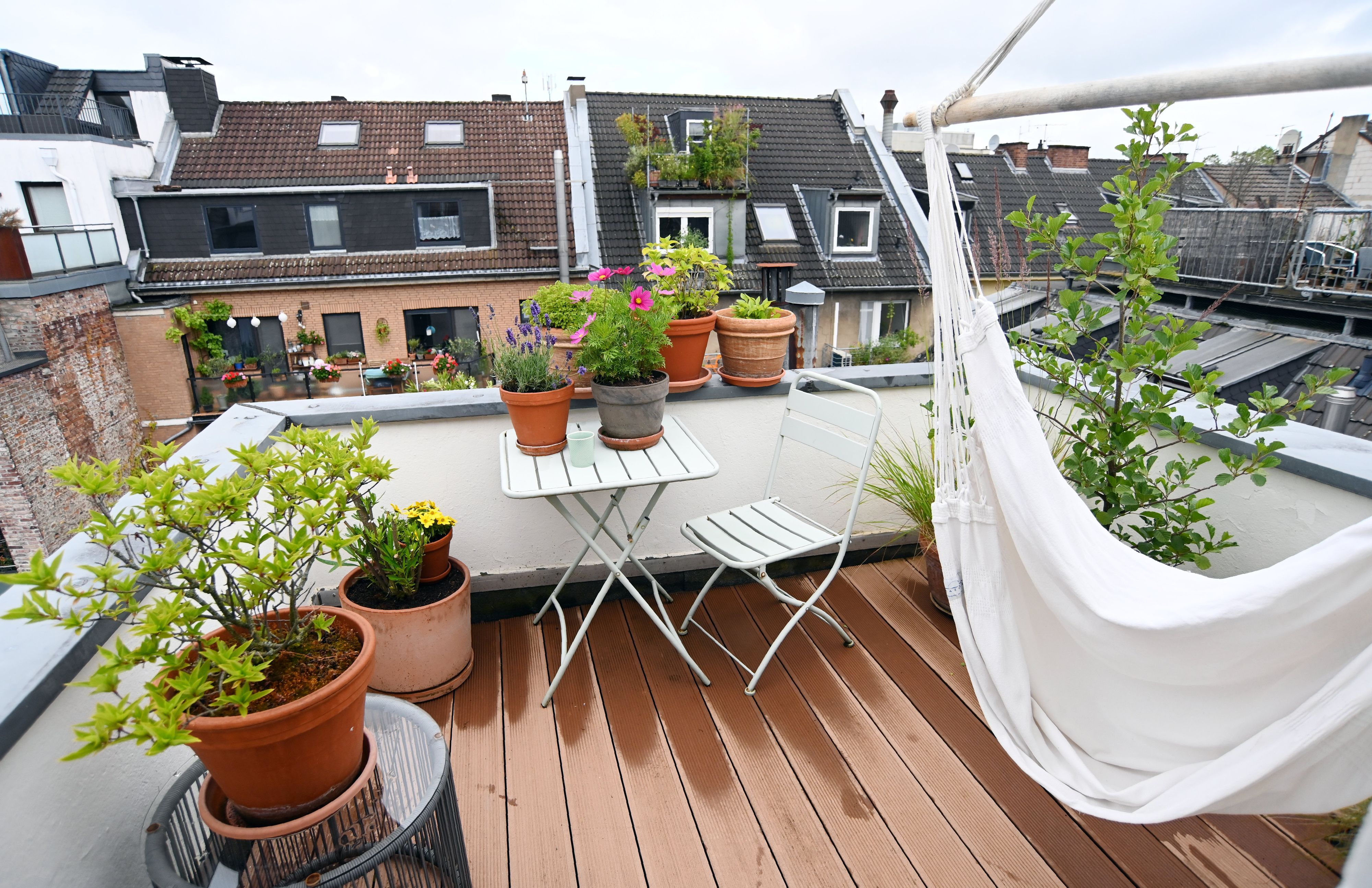 11.06.2026 Köln. Sandra Vohl zeigt ihre Dachterrasse in der Südstadt. Foto: Alexander Schwaiger