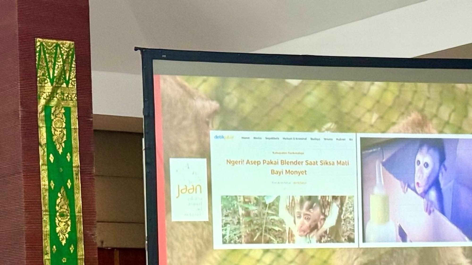 Fachkonferenz auf Bali zum Thema Tierleid in sozialen Medien
