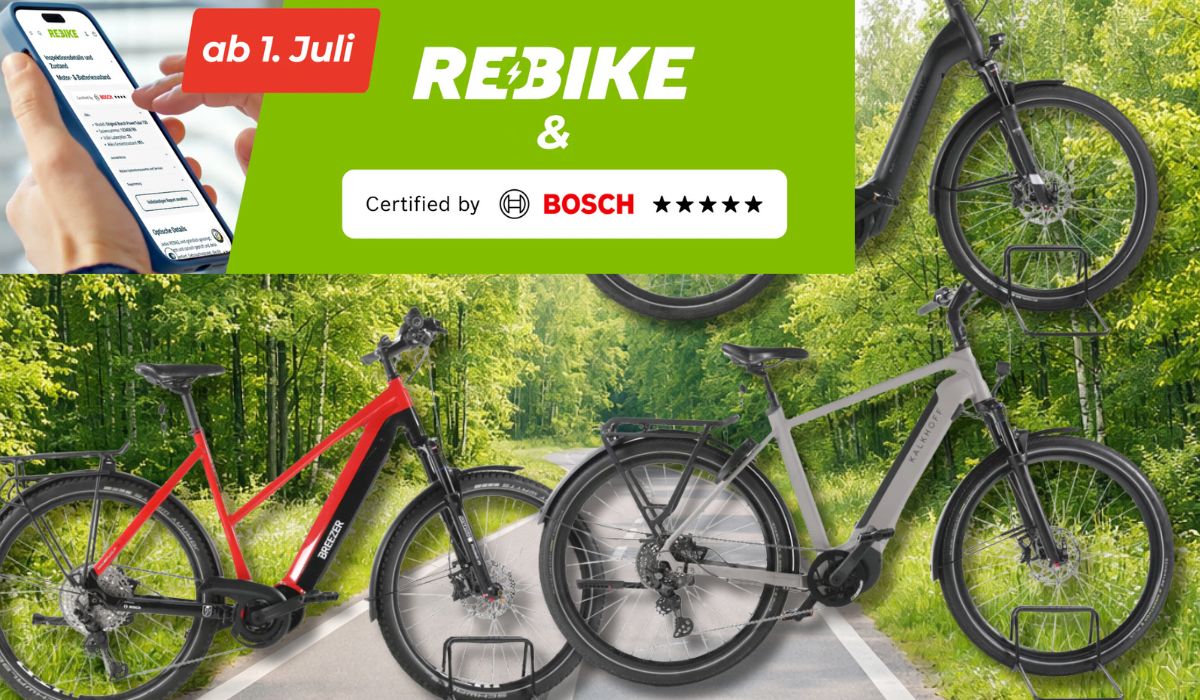 3 E-Bikes mit Bosch Motor vor einem Waldweg.