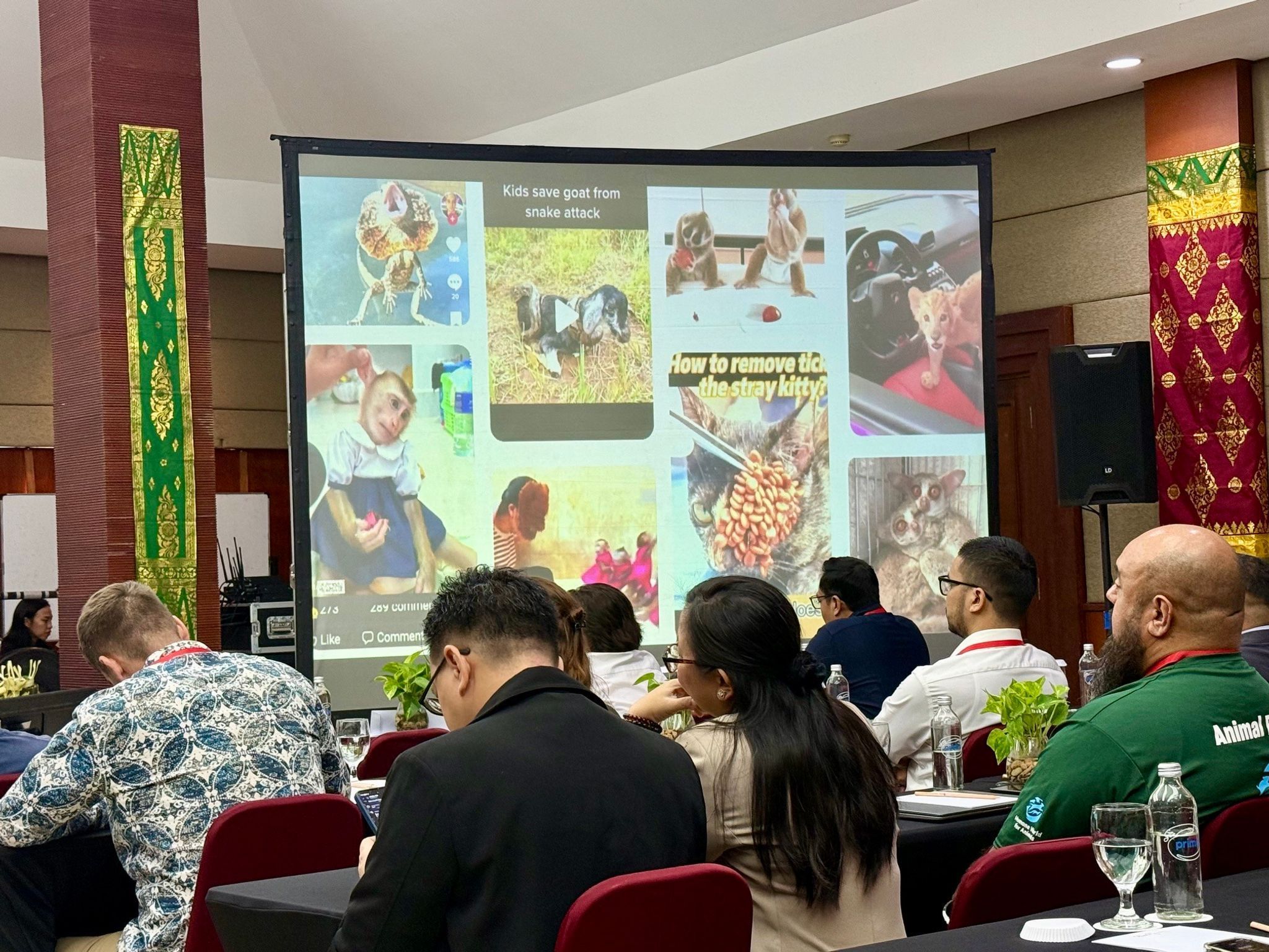 Fachkonferenz auf Bali zum Thema Tierleid in sozialen Medien