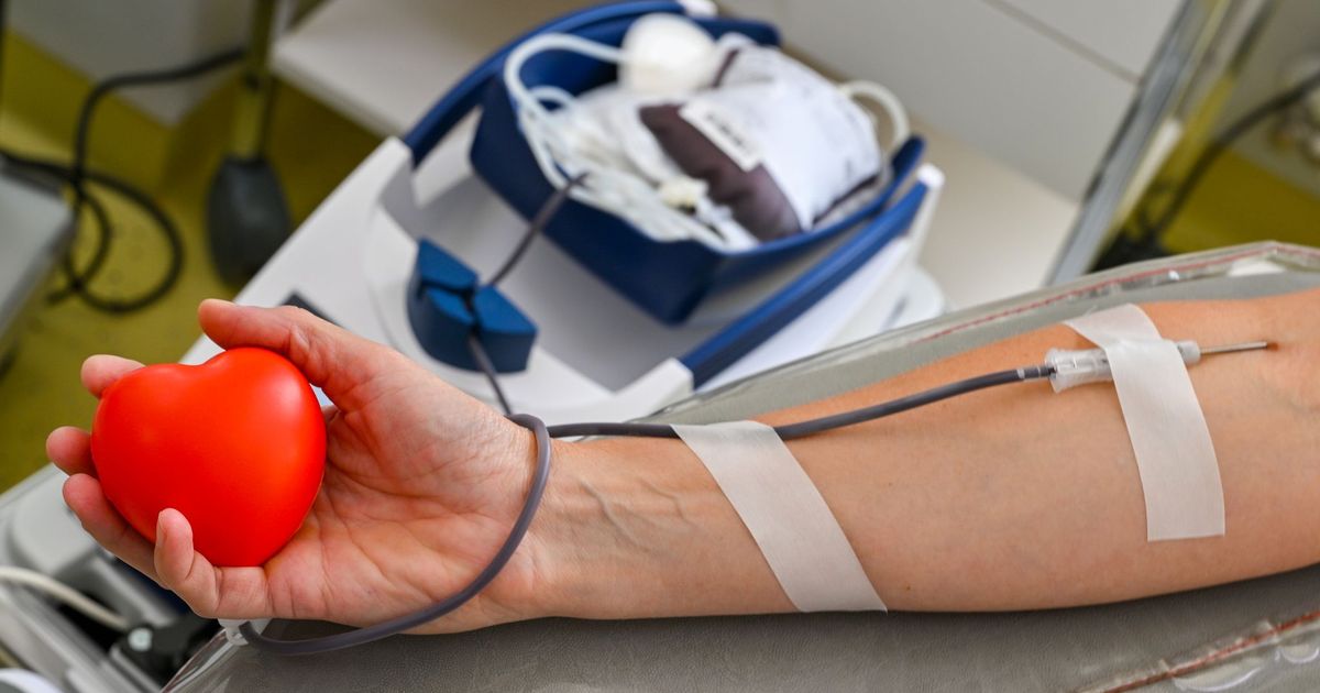 Pl-tzlich-wird-es-schwarz-Warum-es-beim-Blutspenden-zu-Kreislaufproblemen-kommen-kann