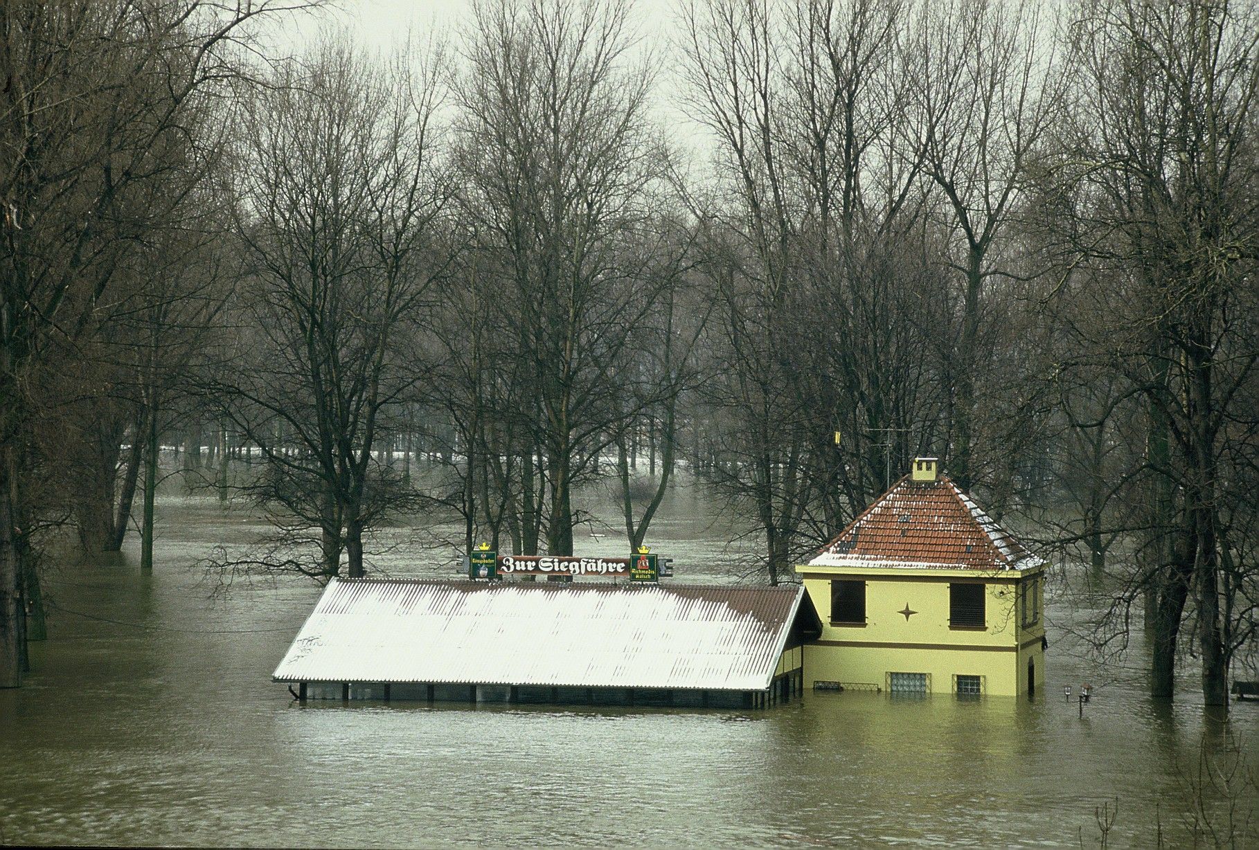 Auf dem Foto steht das Wasser der Sieg bis zum obersten Stock der Siegfähre.