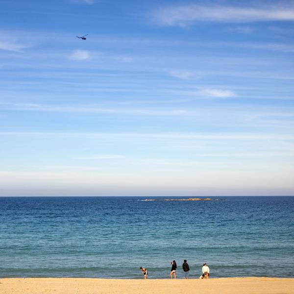 Blick auf den Coogee Beach, nachdem eine Frau bei einem Hai-Angriff in kritischen Zustand geraten war.